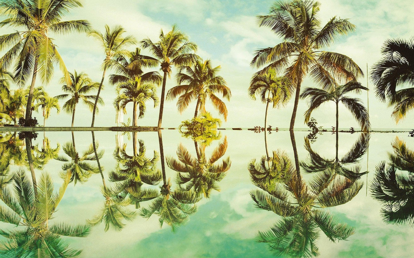 Mirror in the Palms Mural Wallpaper