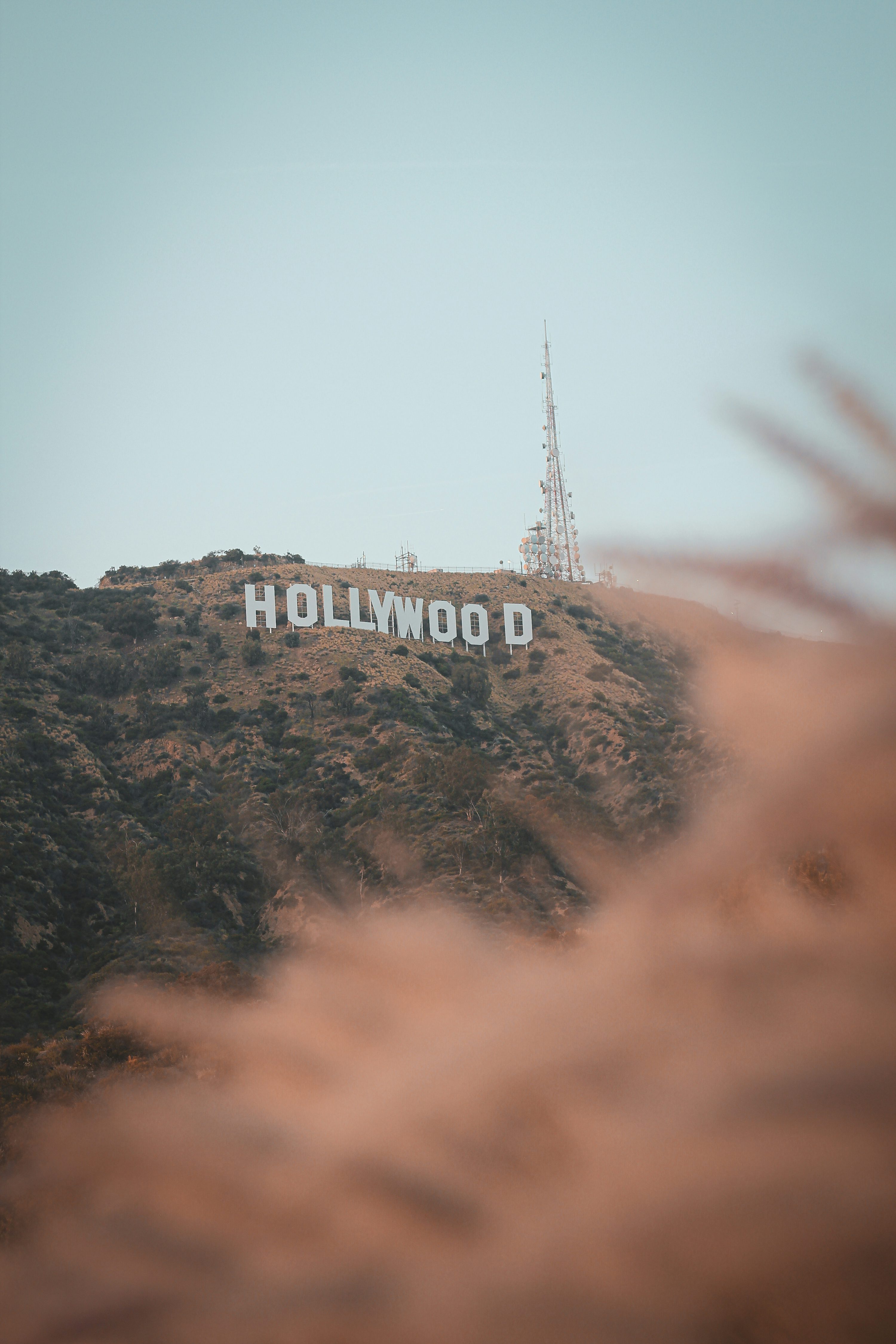 Los Angeles Sunset Picture. Download