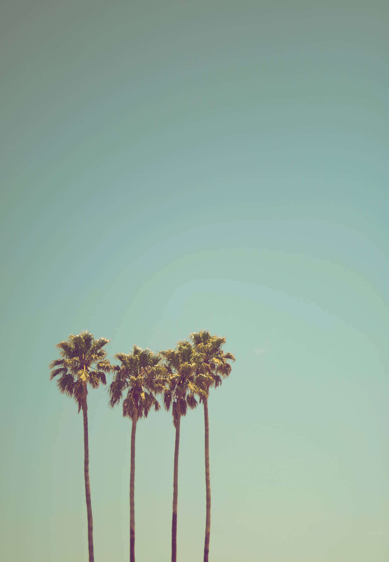 Los Angeles HD Wallpaper