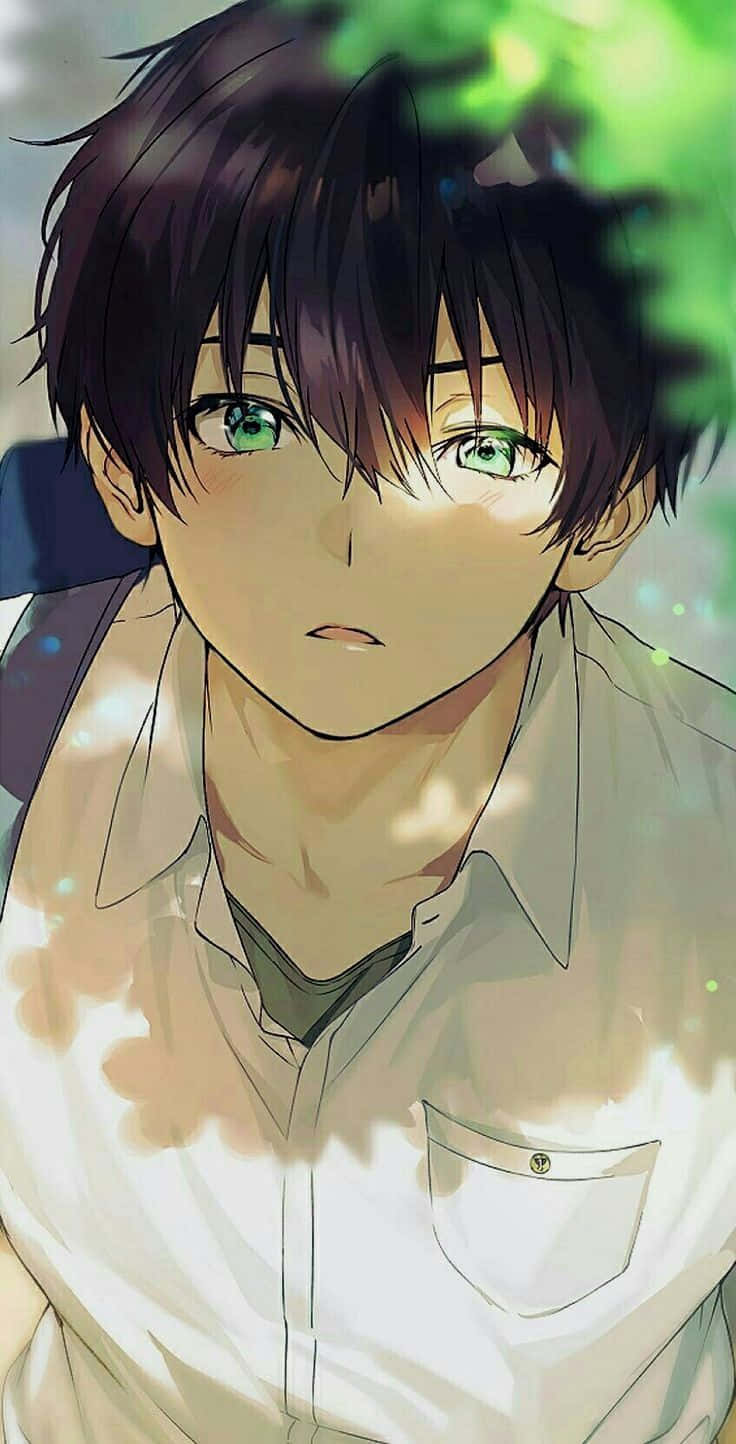Download Male Anime Characters Hotaro