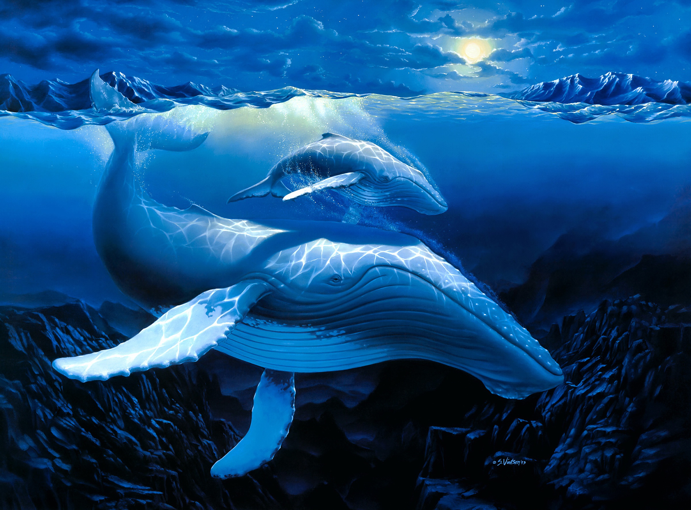 Download Underwater Sea Life Baby