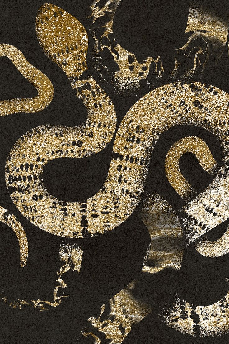 snake, black snake, snake pattern