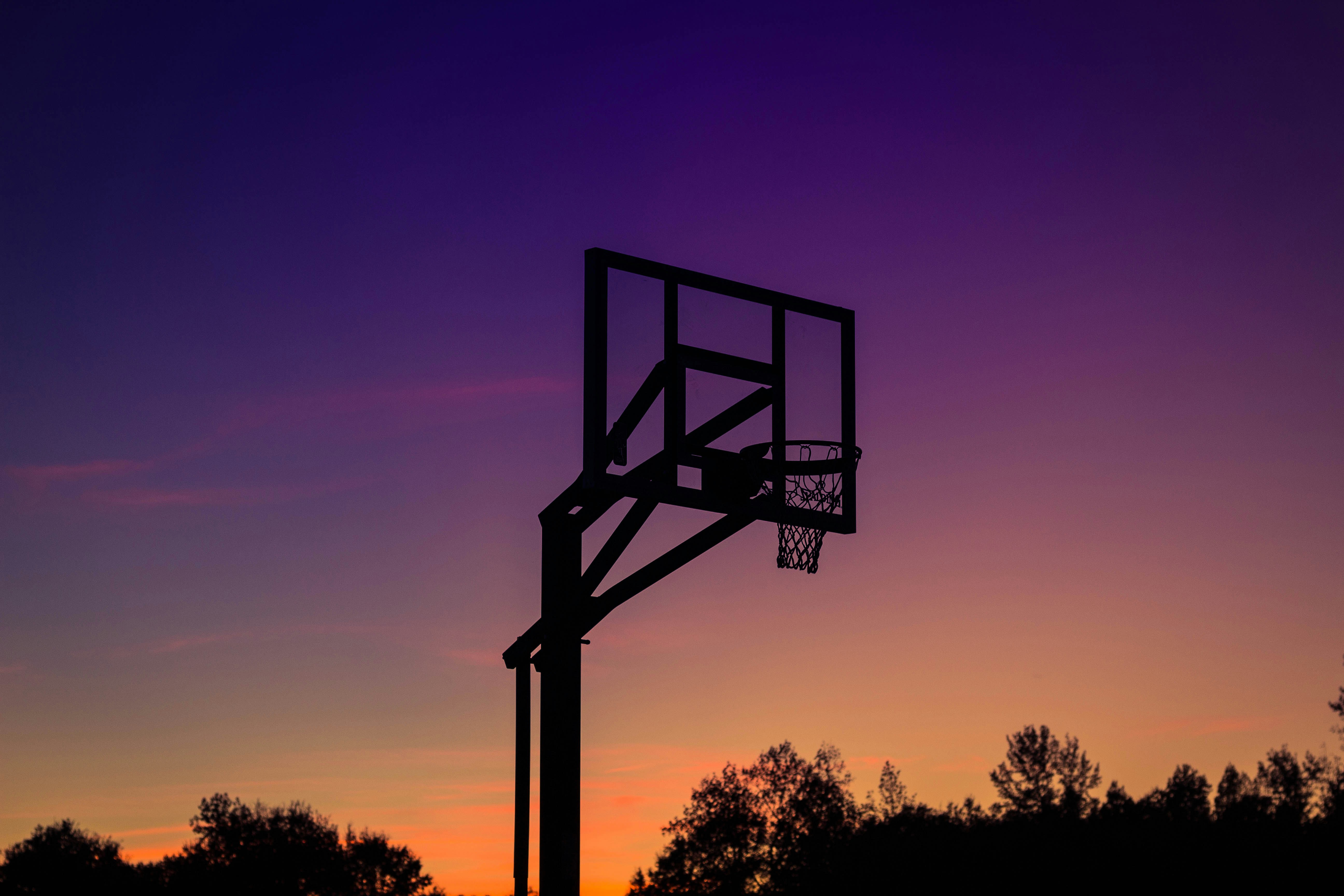 An old basketball hoop with trees