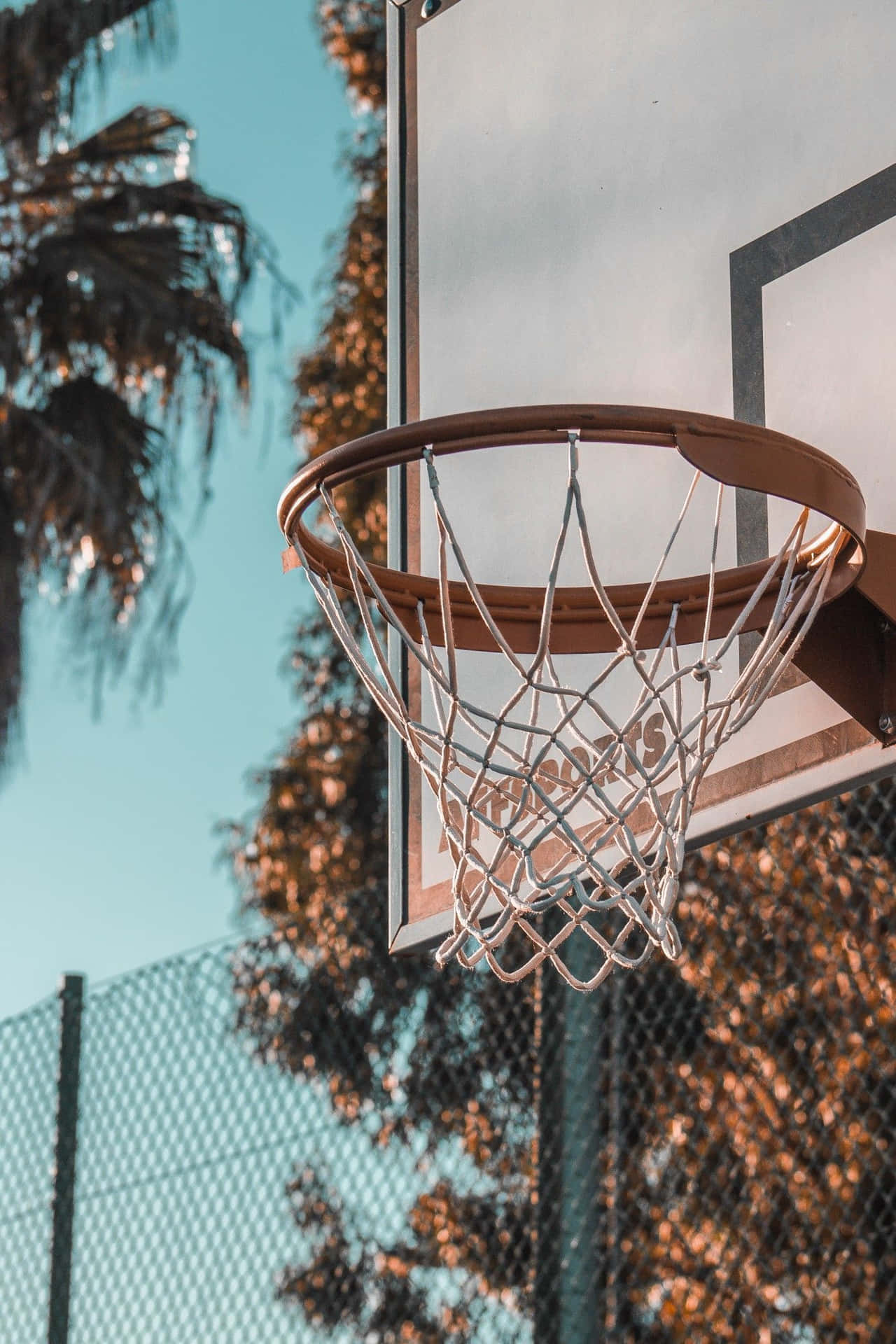 Download Outdoor Basketball Hoop Sunset