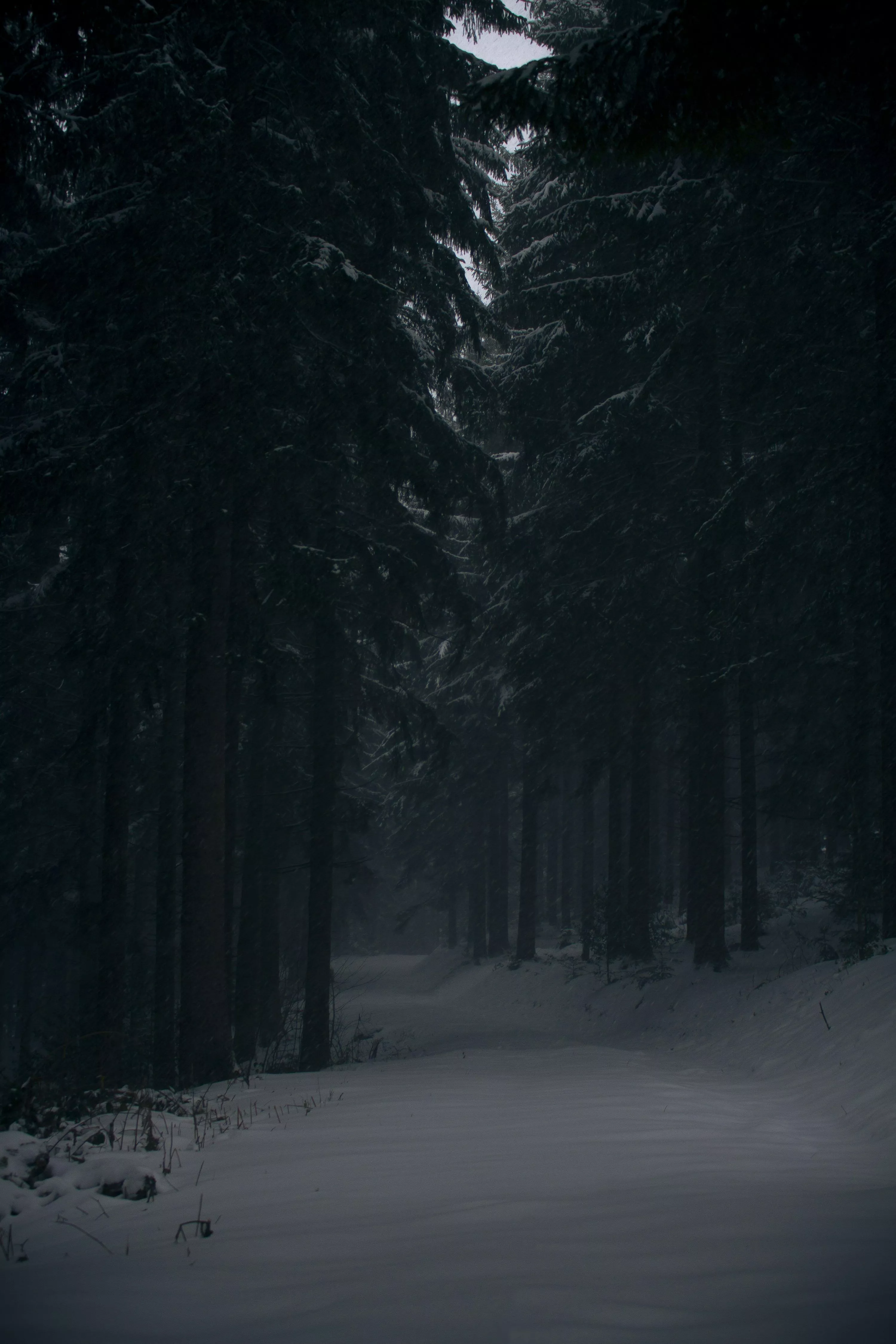 45,Dark Winter Picture. Download