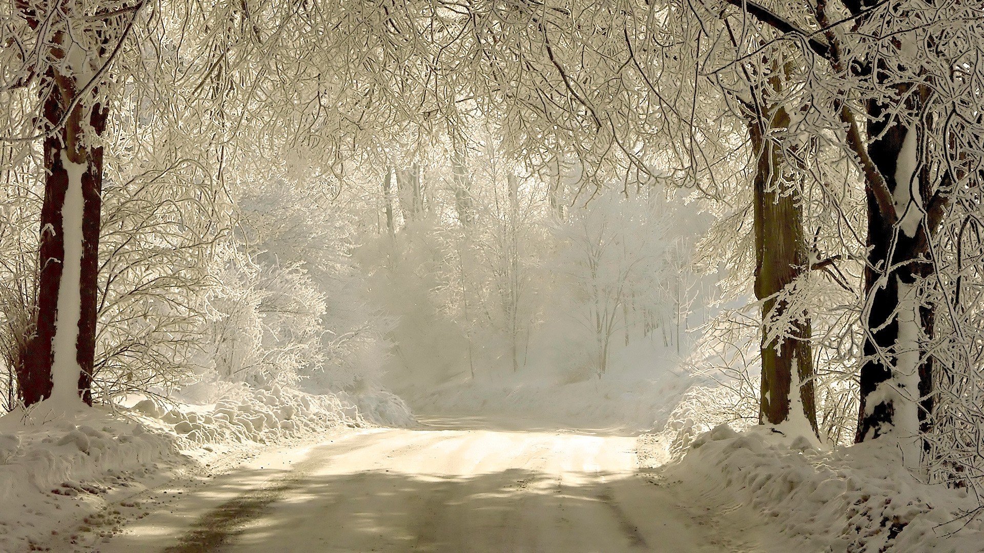 Serene Winter Road HD Wallpaper
