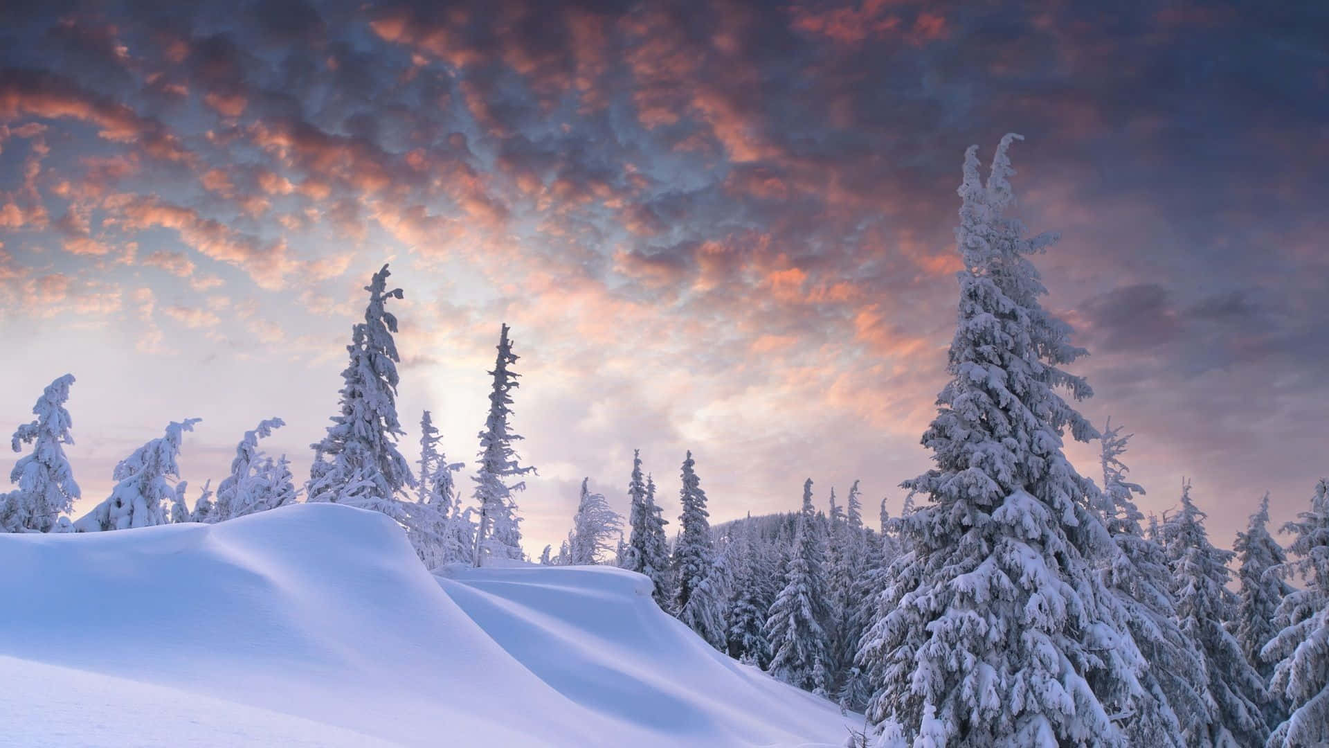 Winter Scenery Desktop Wallpaper