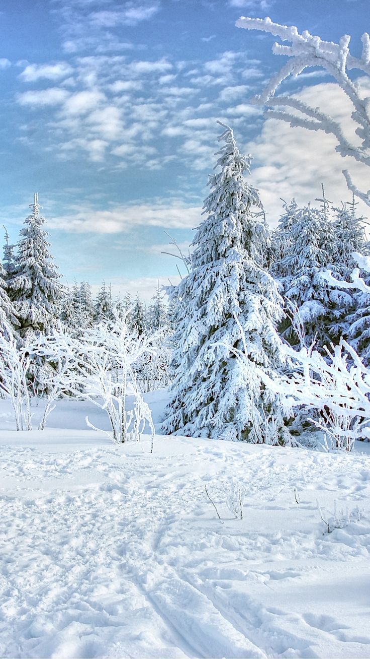 FREE Aesthetic Winter Wallpaper Background. Cute Winter Wallpaper. Just Jes Lyn