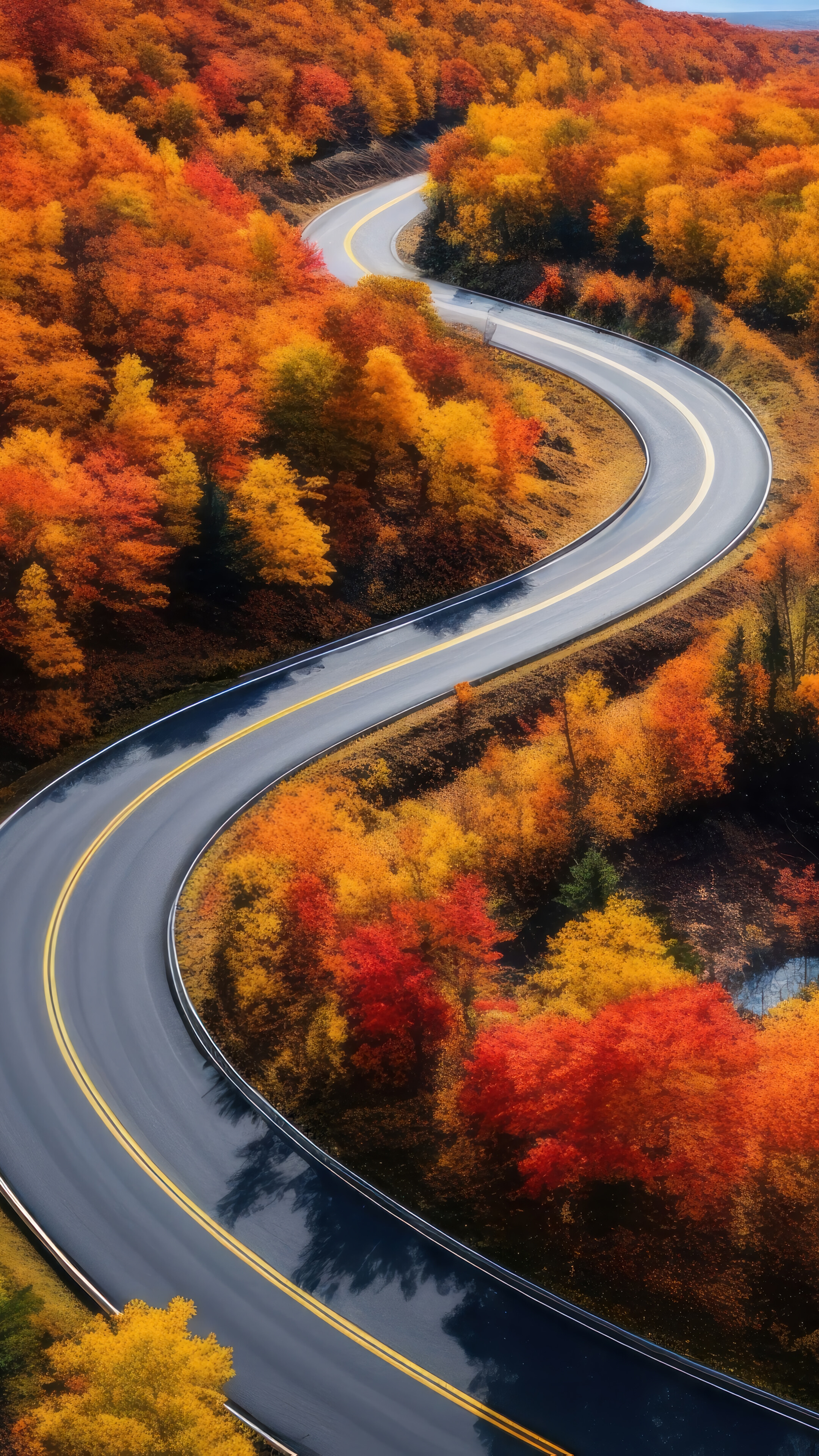 Autumn Forest Road Scenery 4K Wallpaper