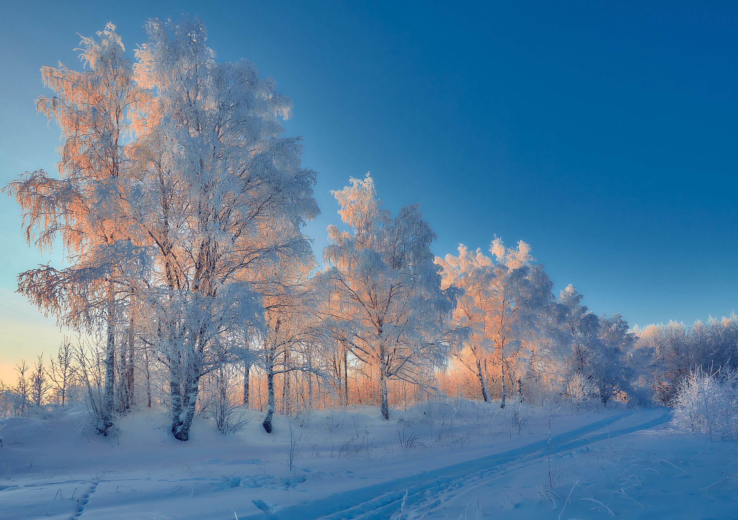 Wallpaper The Republic Of Komi, snow