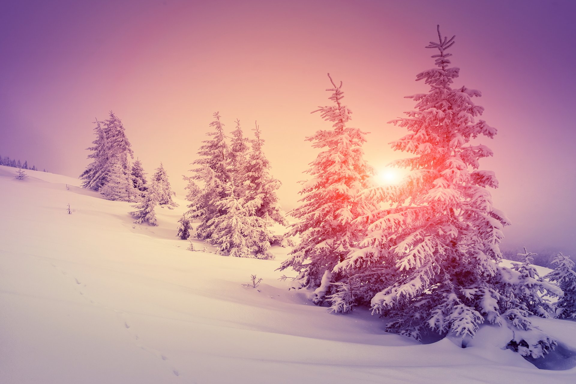 Winter Sunshine Wallpapers - Wallpaper Cave