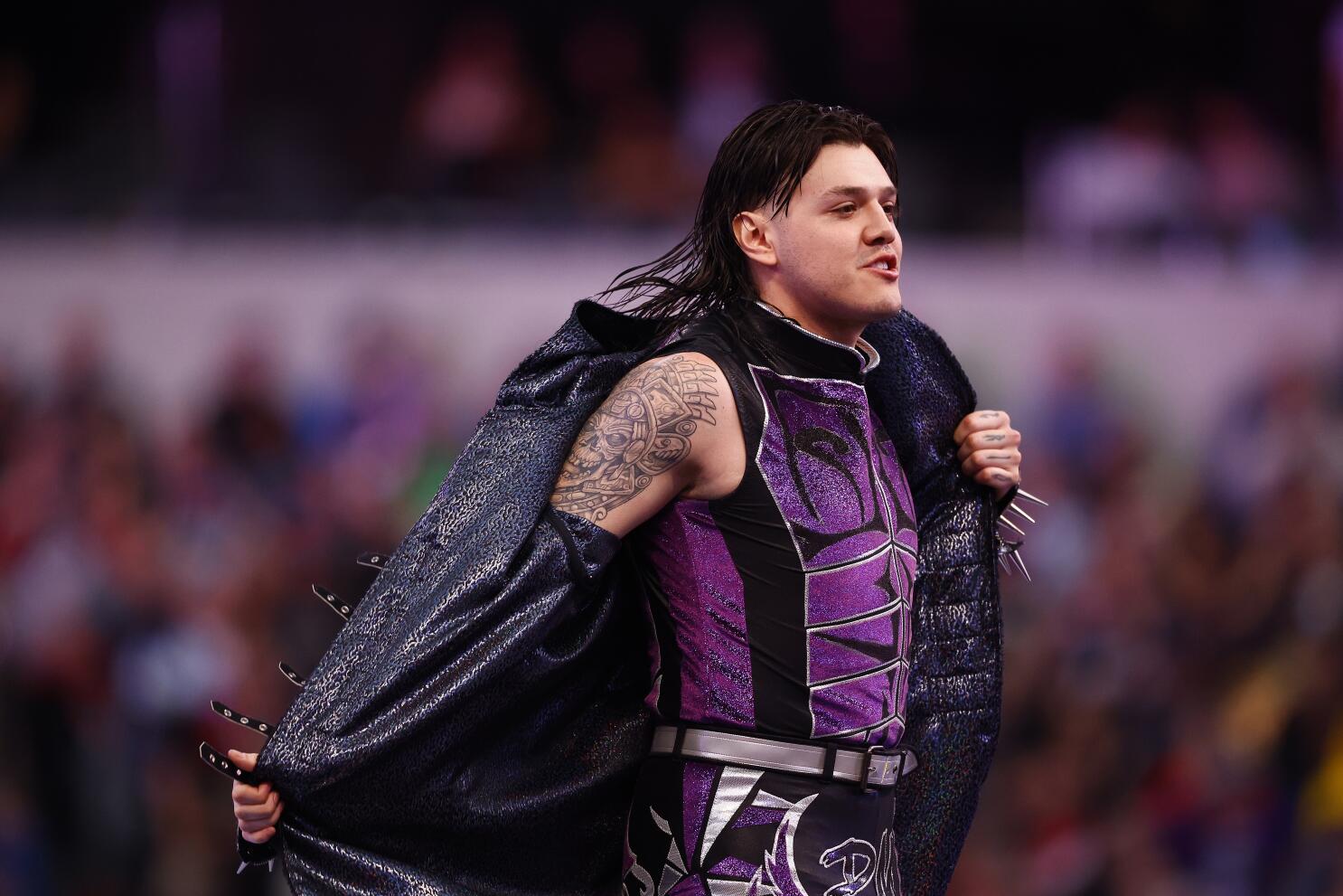 WWE apologizes for Auschwitz image