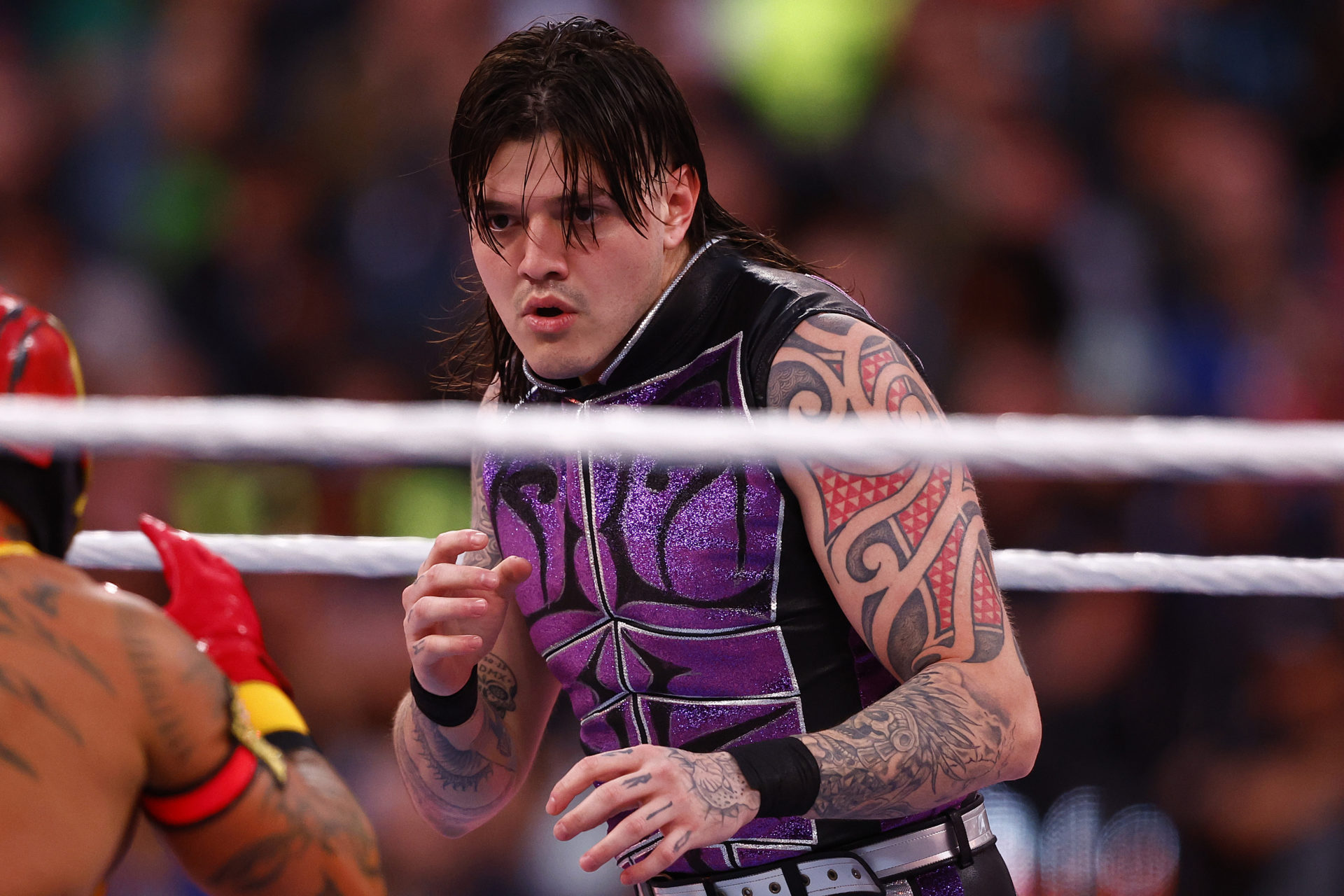 Dominik Mysterio names the wrestling
