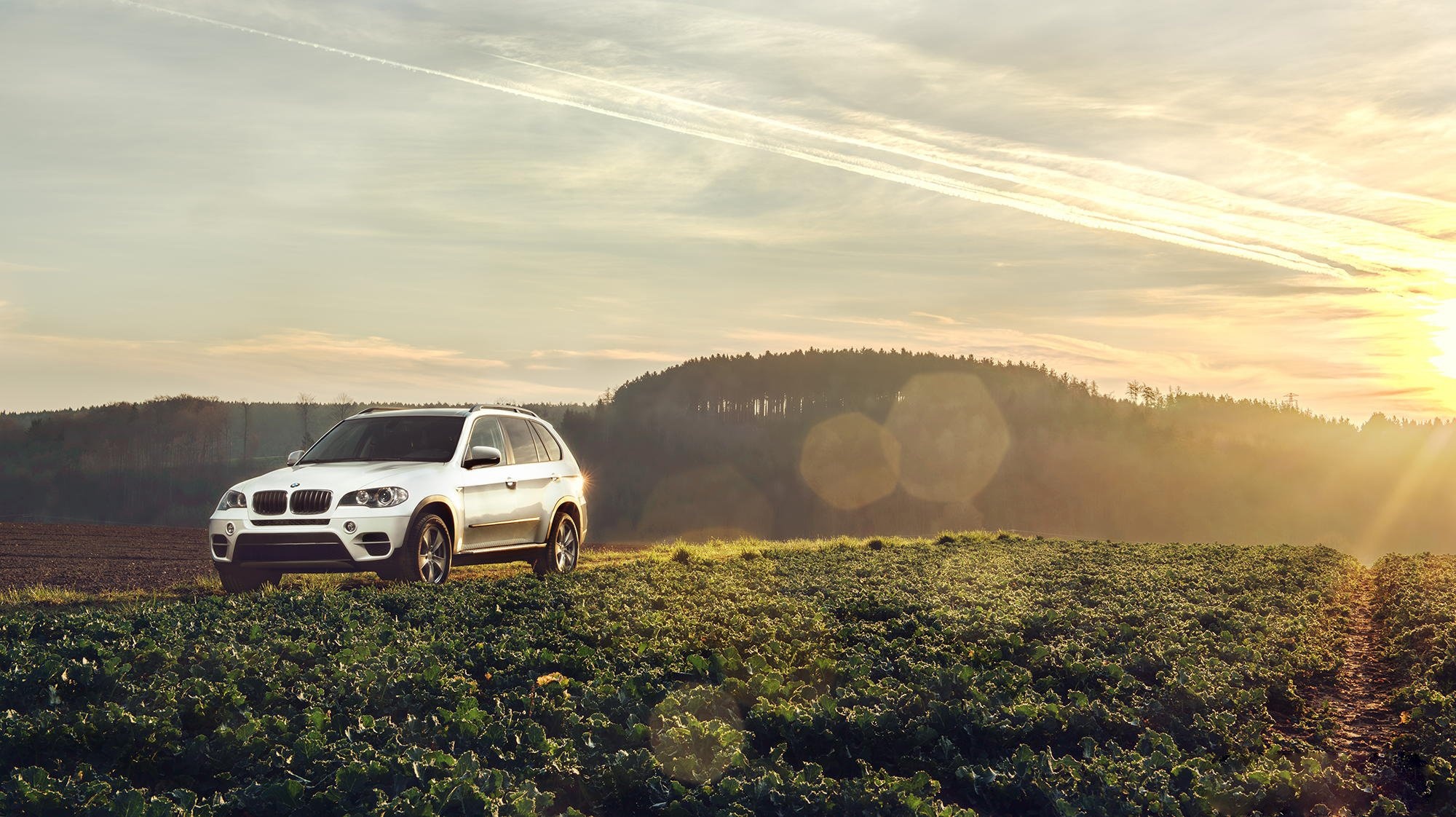 BMW X5 Wallpaper