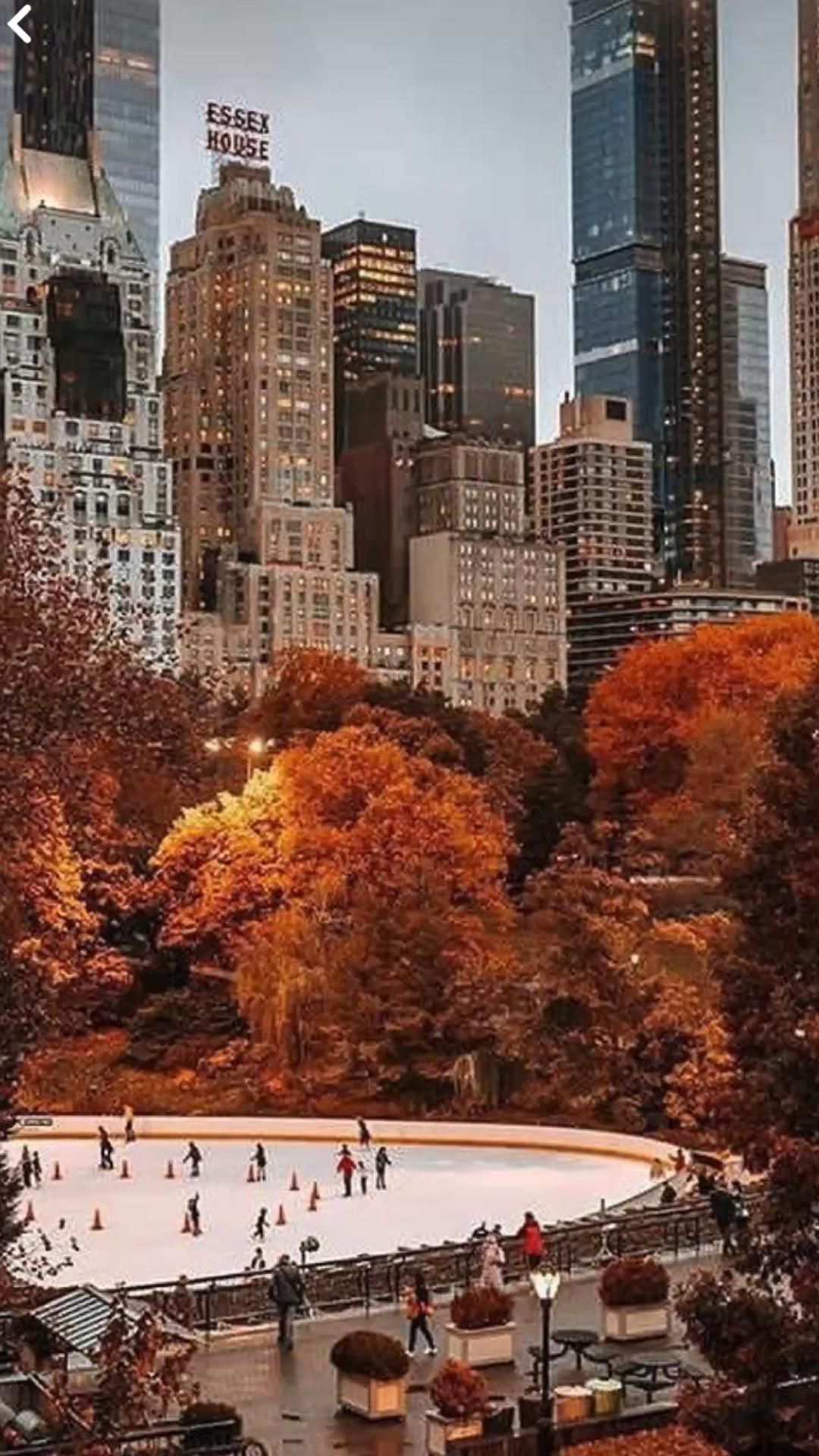 Fall in the City. Skyline Wallpaper