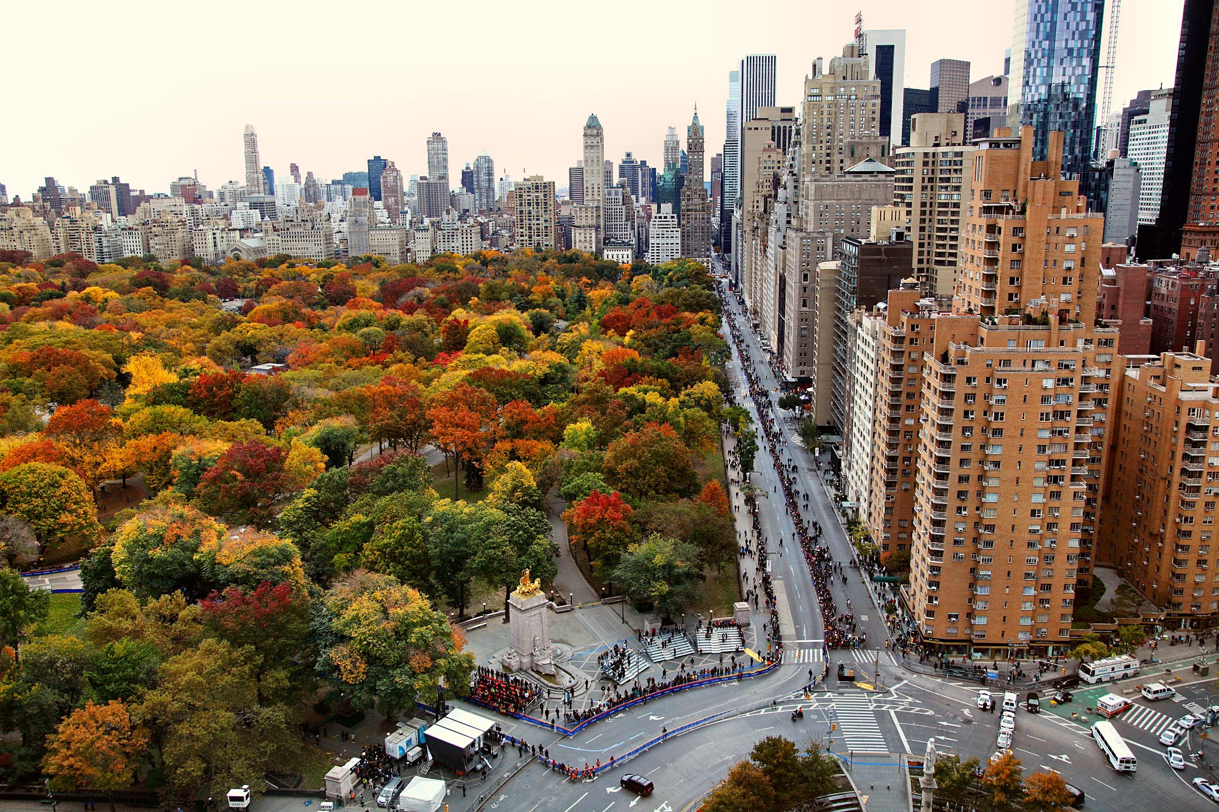 Wallpaper city, sport, USA, road, trees