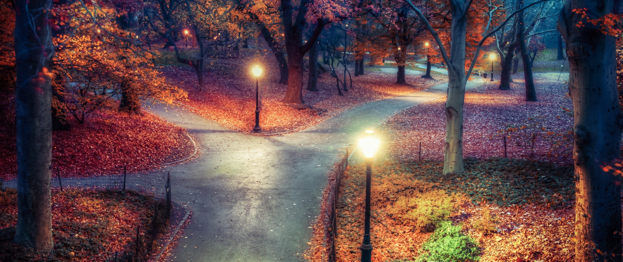 Wallpaper 4K, New York City, Autumn leaves