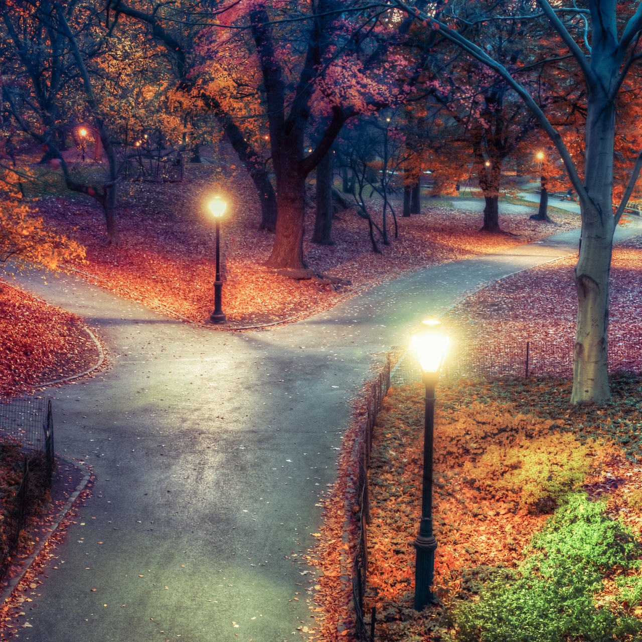 Wallpaper 4K, New York City, Autumn leaves