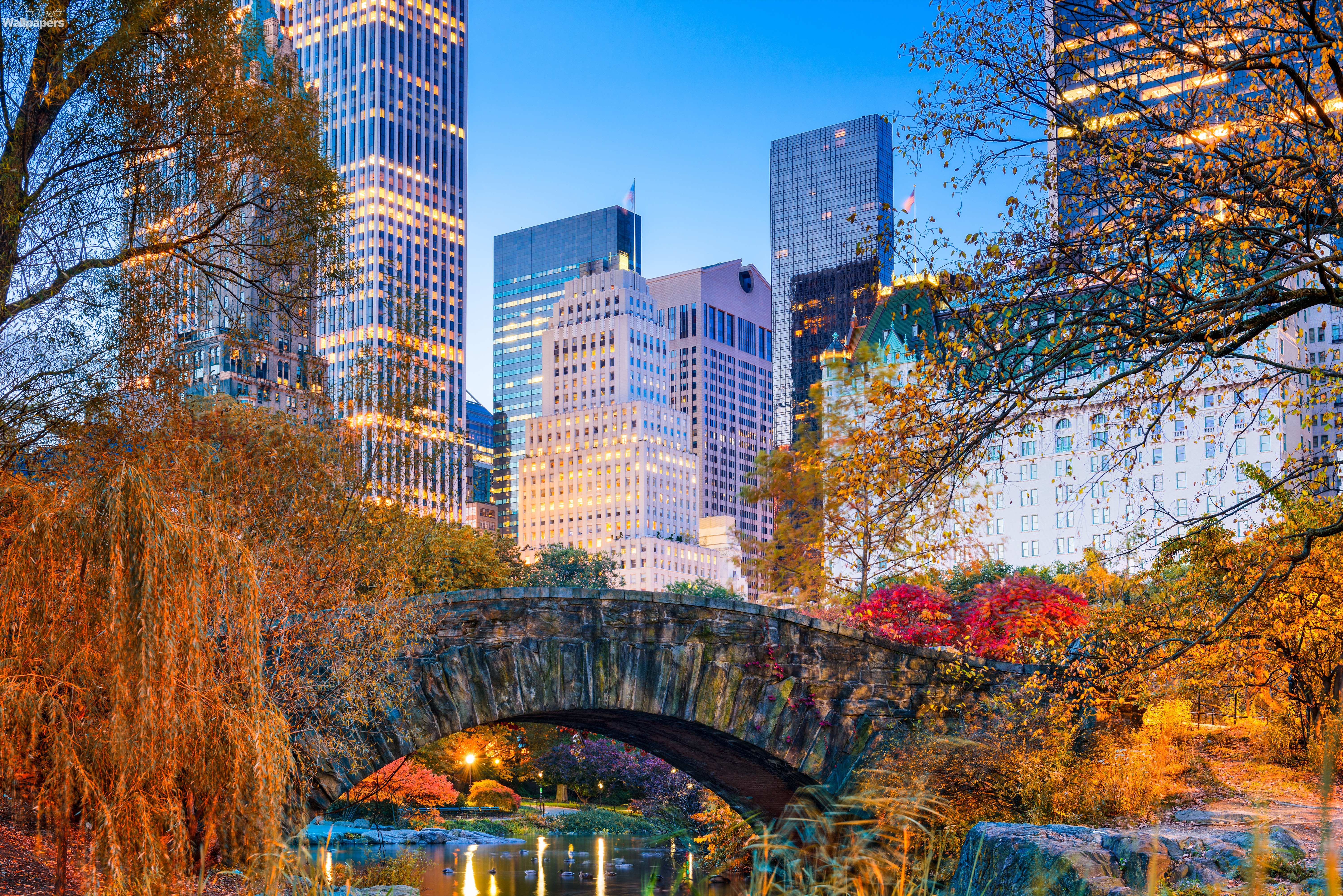 Central Park in Autumn York