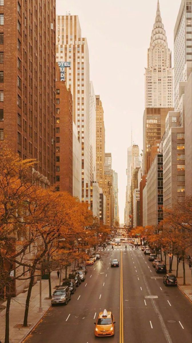 nyc fall