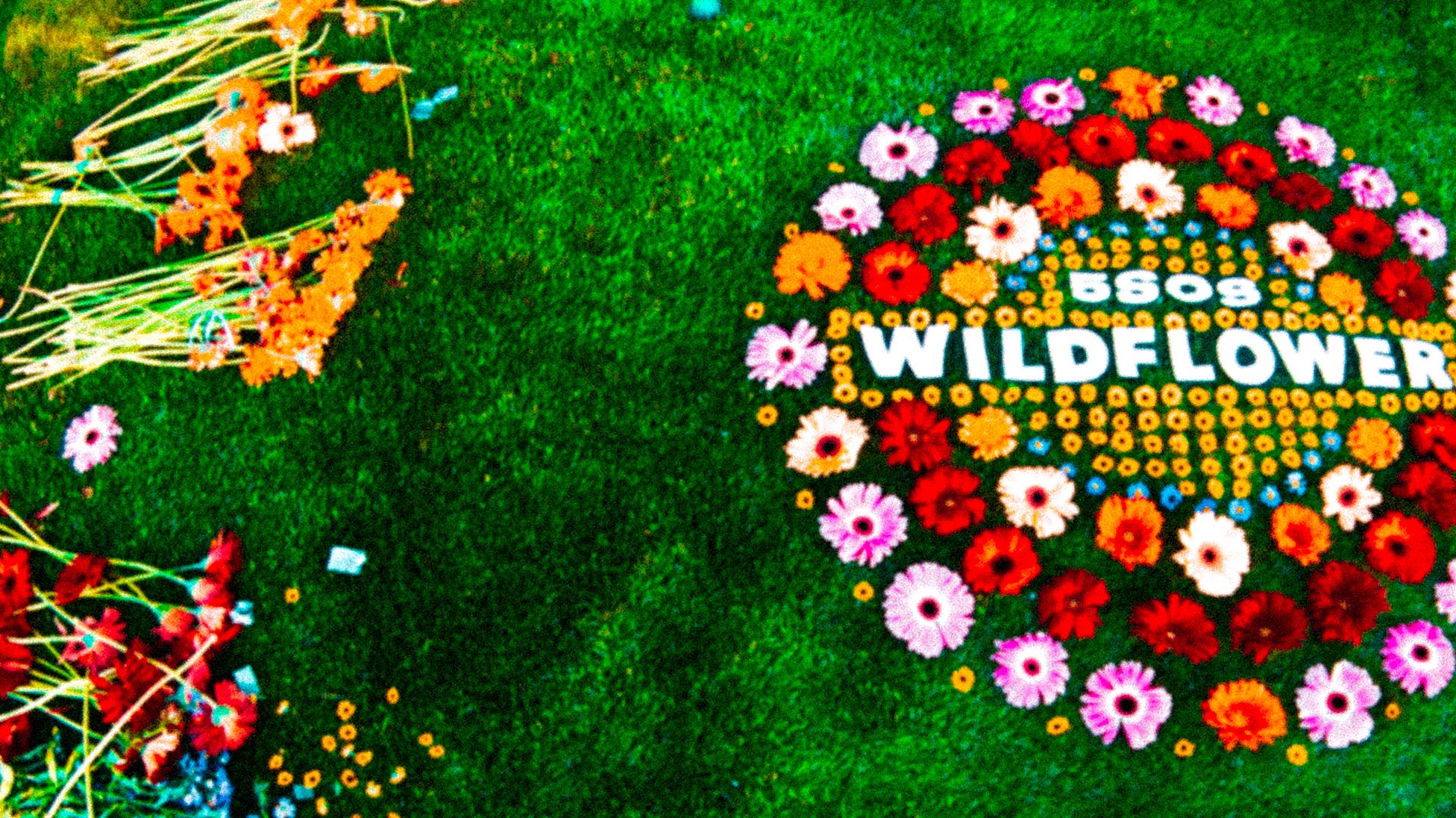 Zoom background to keep C A L M during