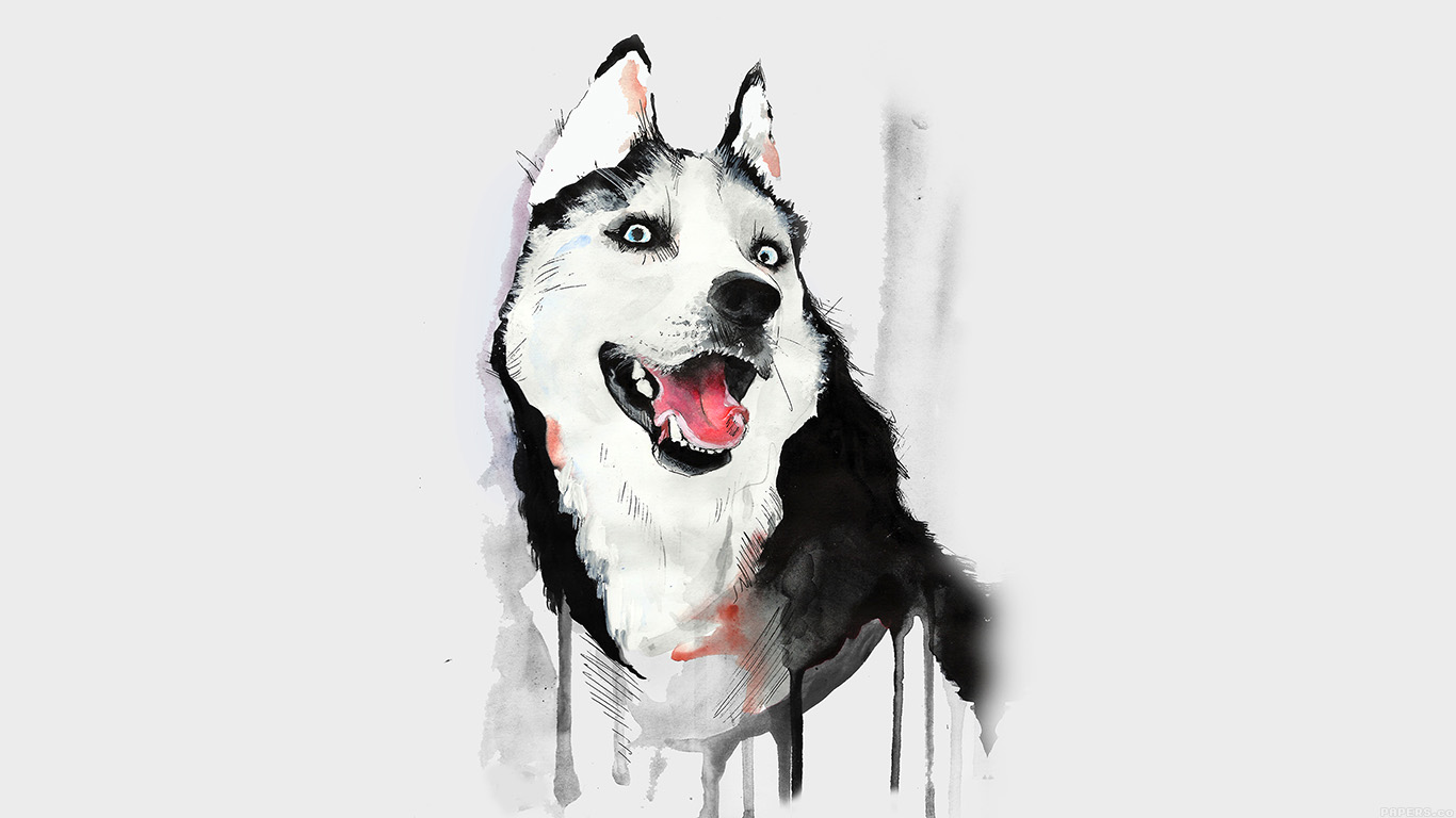 White Husky Animal Illust Watercolor