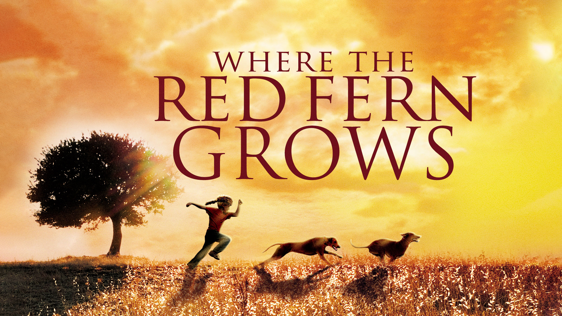 Watch Where The Red Fern Grows. Prime