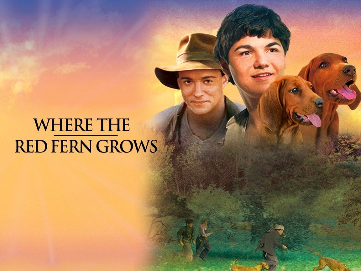 Where the Red Fern Grows Picture