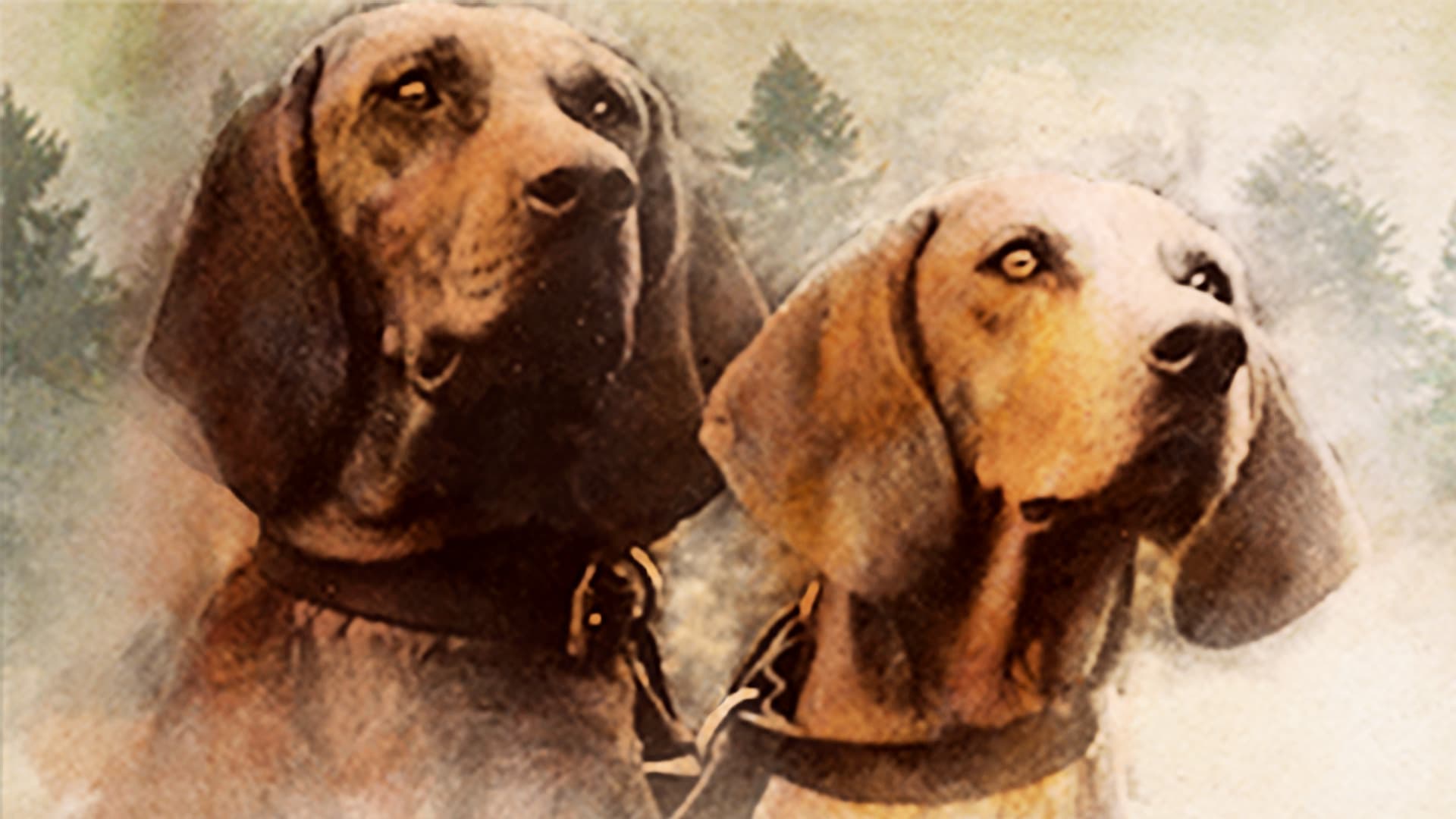 Memories of Where the Red Fern Grows