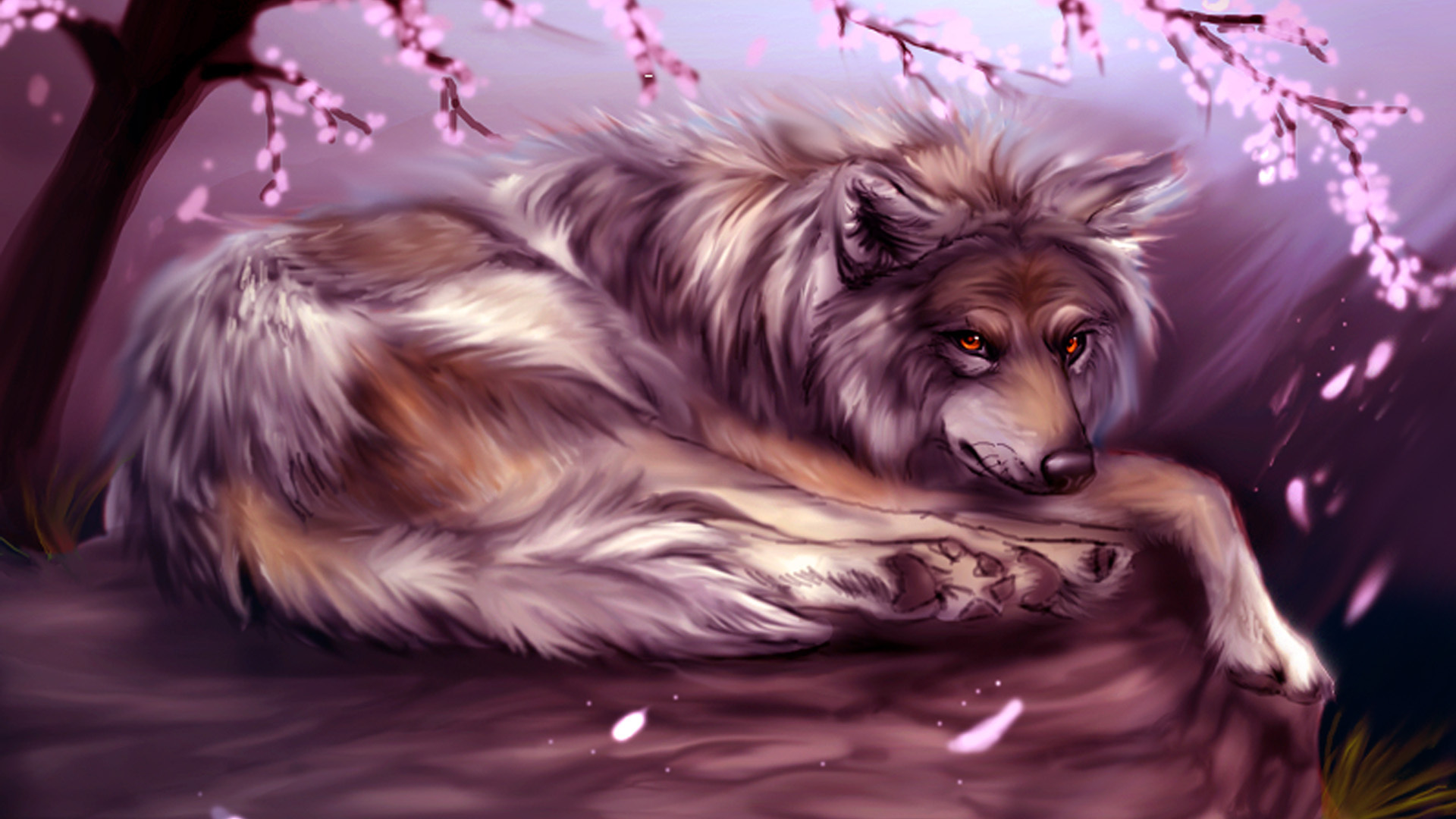 Desktop Wallpaper Dogs wolf animal