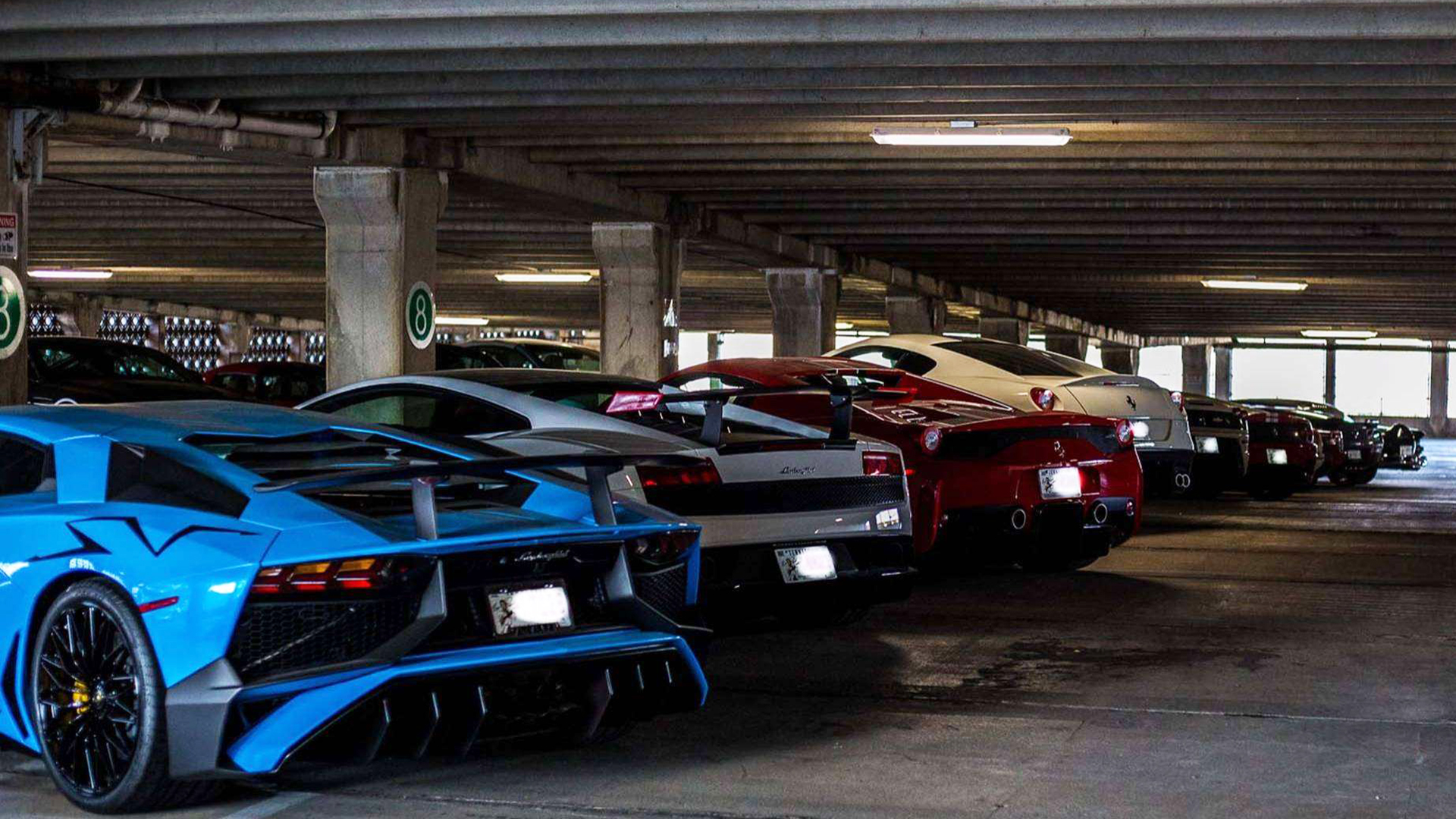 Exotic Car Collection Hides