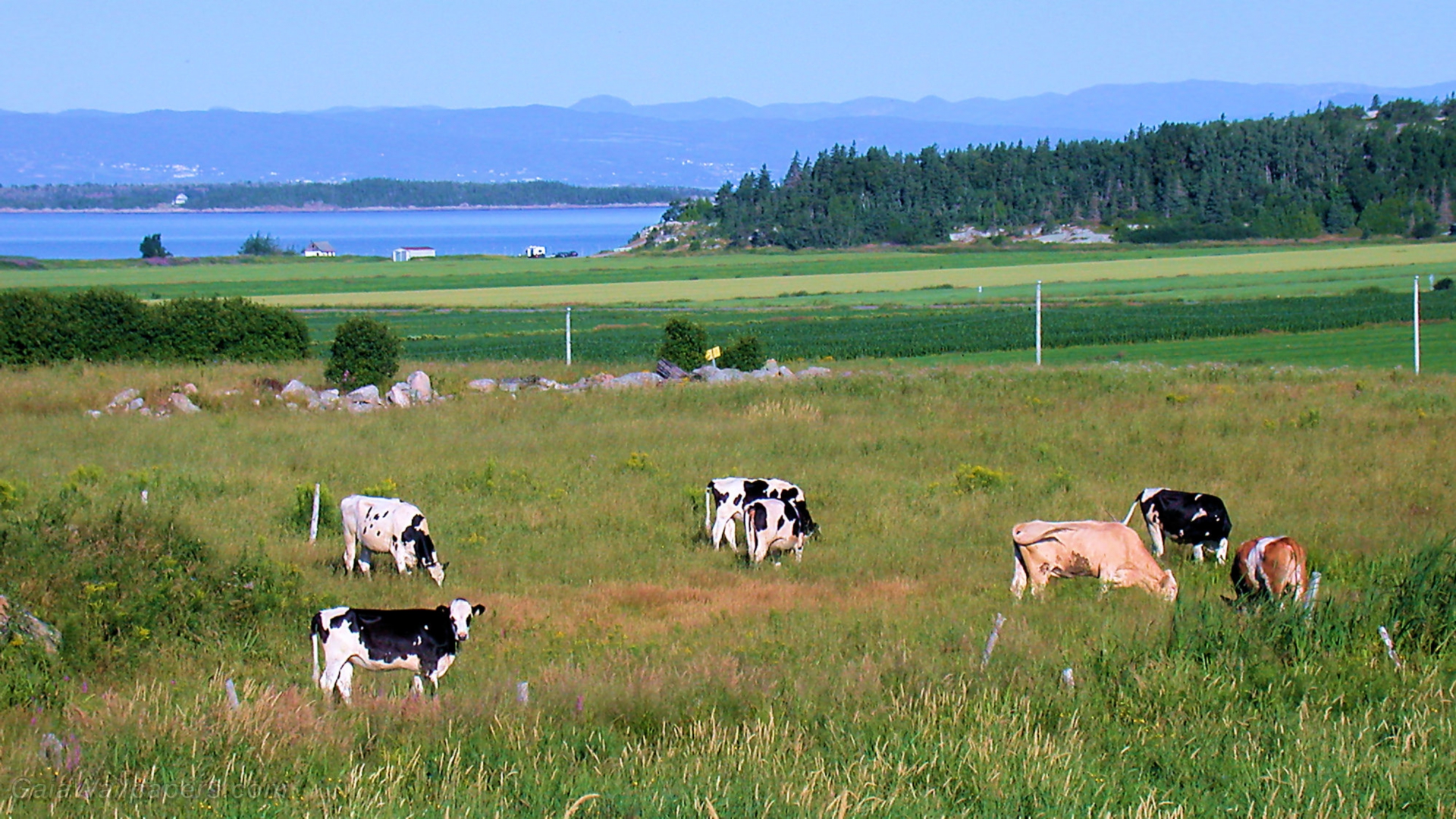 Kamouraska wallpaper 1920x1080