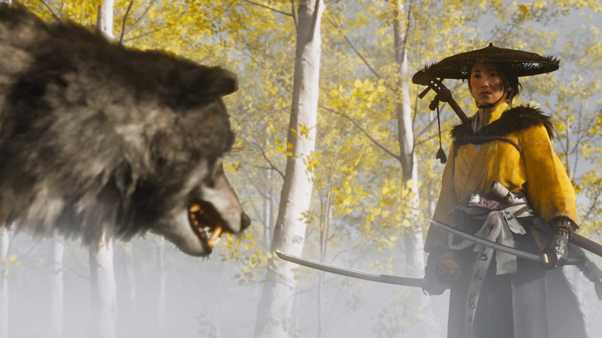 Ghost Of Yotei, A Follow Up To Ghost