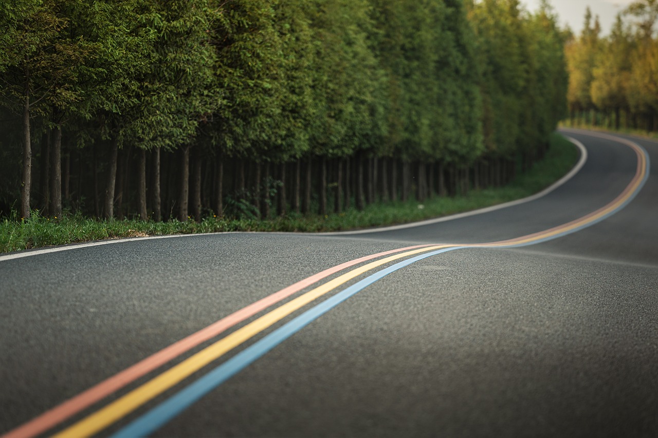 50,Free Winding Road & Road Image