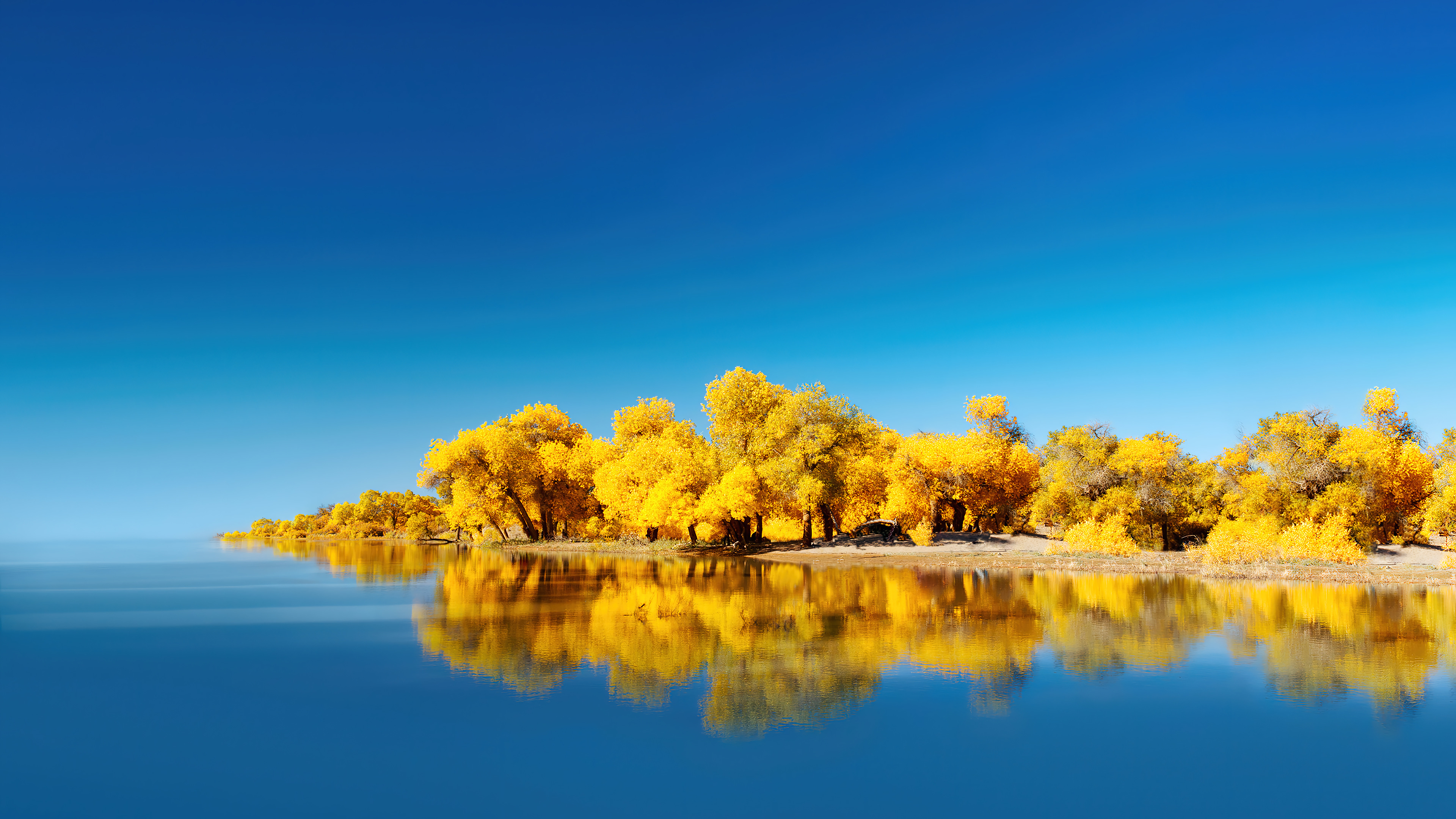 Lake Yellow Tree Scenery Huawei