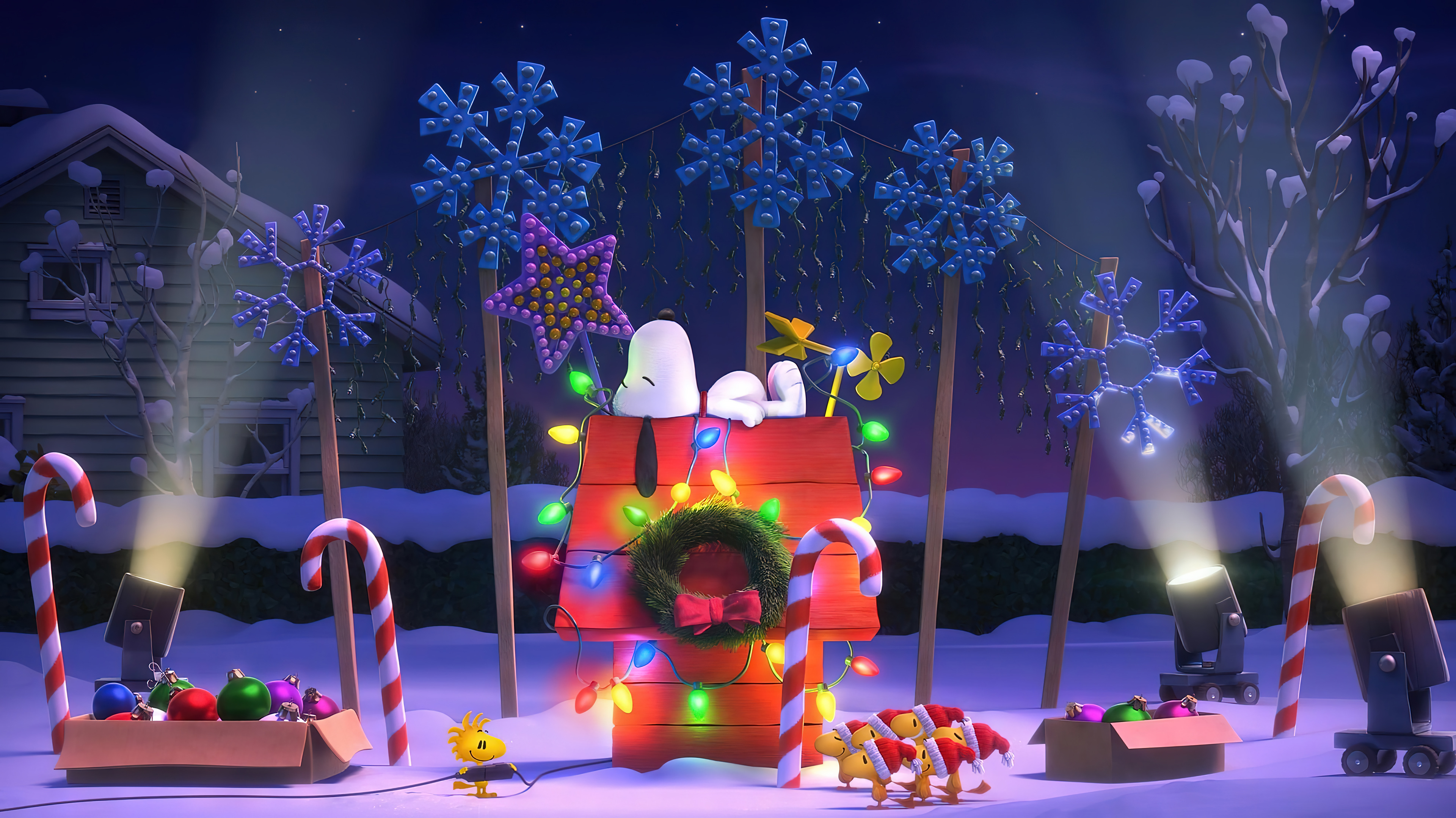 Christmas Lights Decoration Snoopy