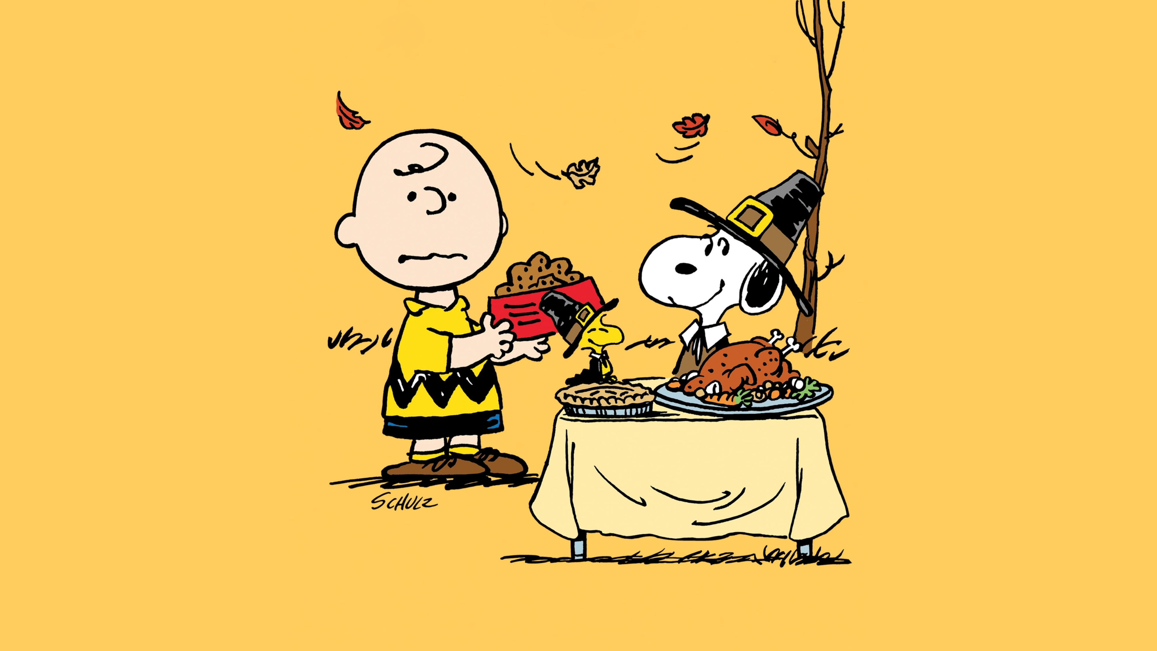 Peanuts Wallpaper 4K, Thanksgiving
