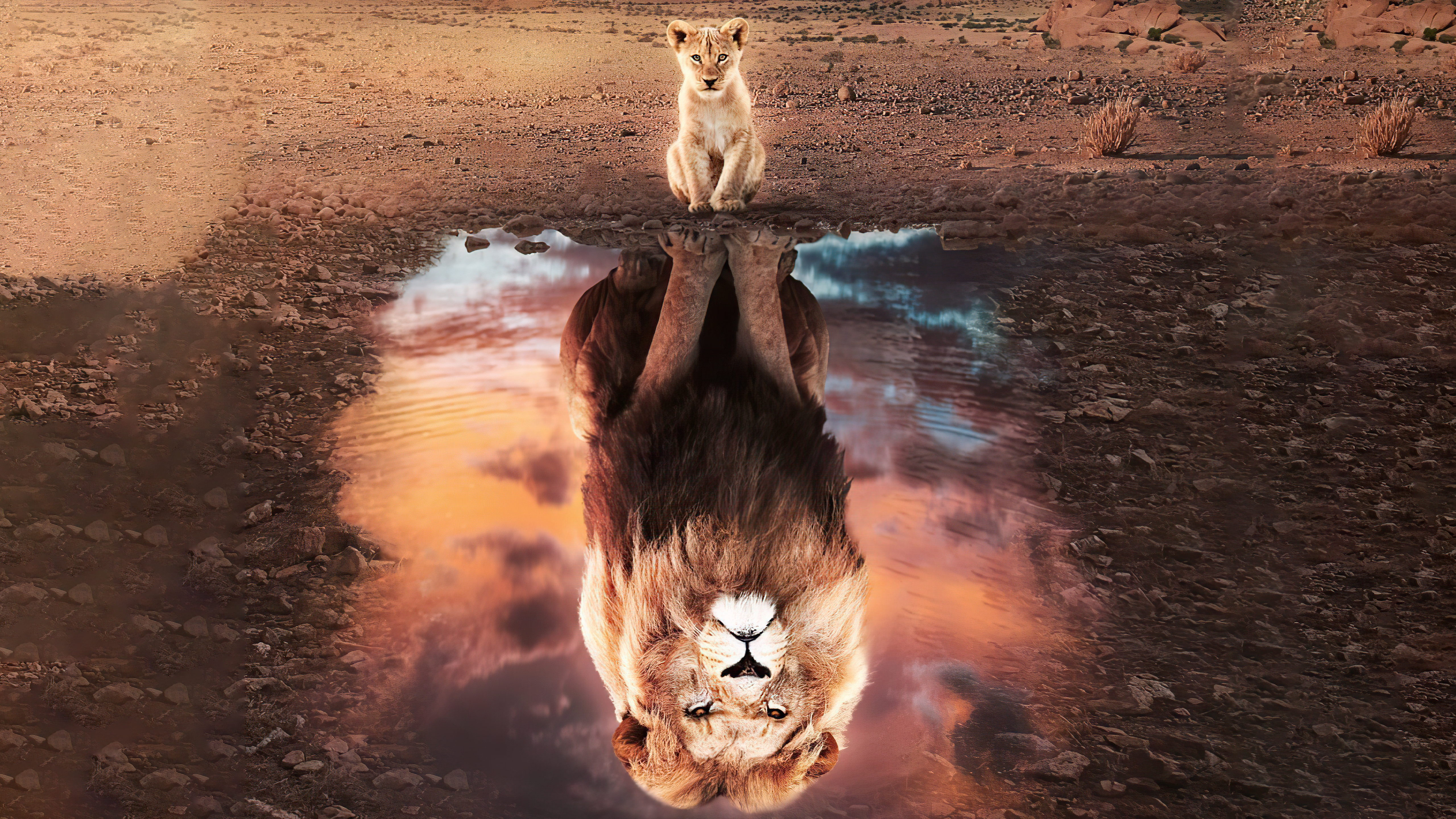 Reflection Lion Movie The Lion King