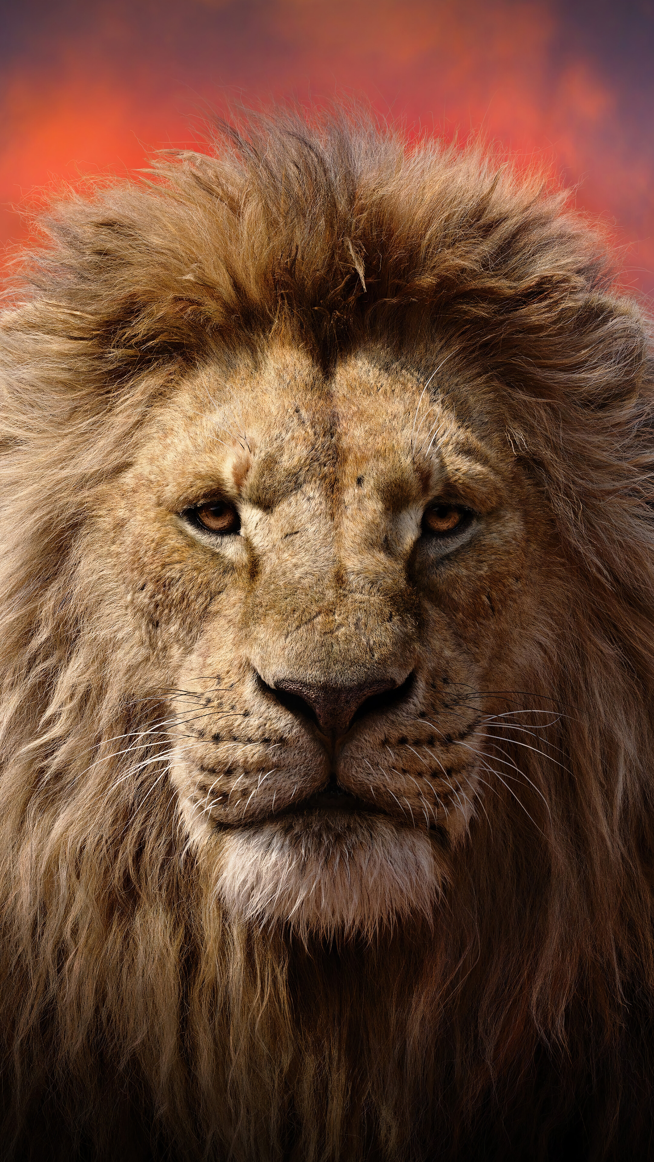 The Lion King Movie Poster 4K Wallpaper