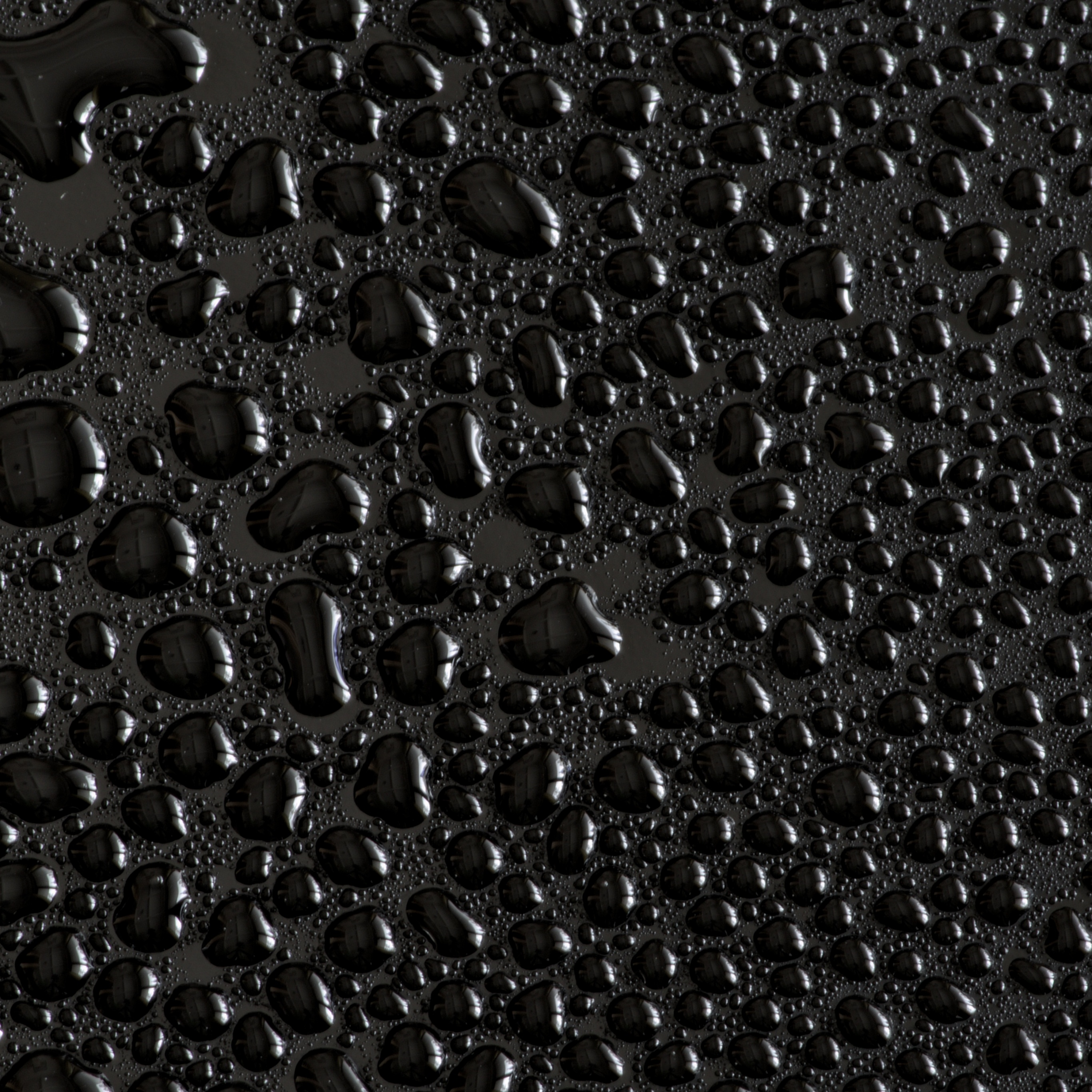 Water droplets Wallpaper 4K, Black