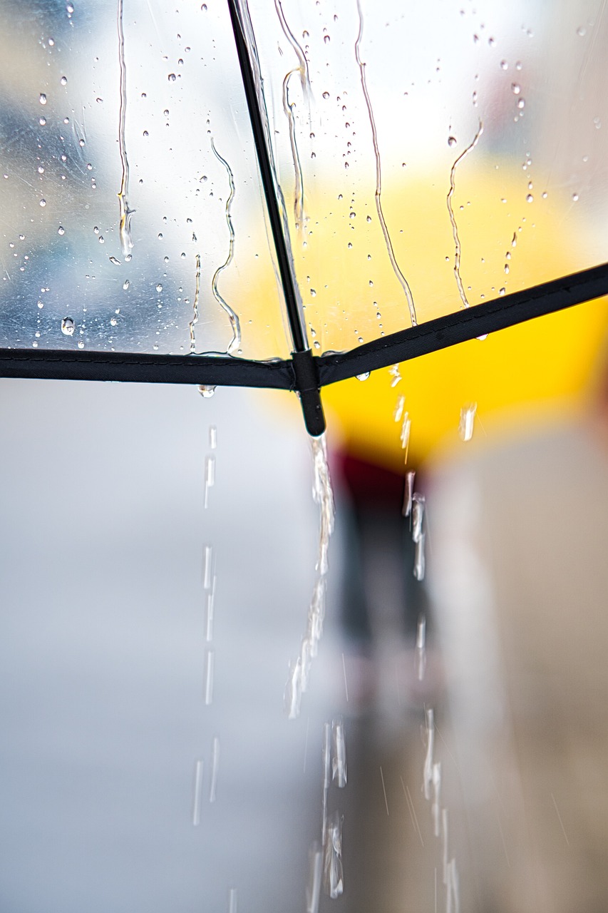 Rainy Day Umbrella Walk