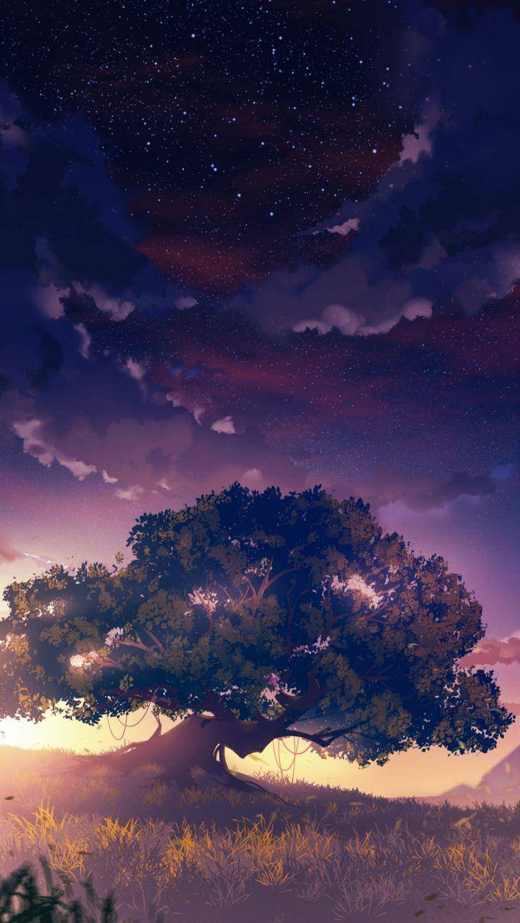 Aesthetic Mobile HD Wallpaper, Top