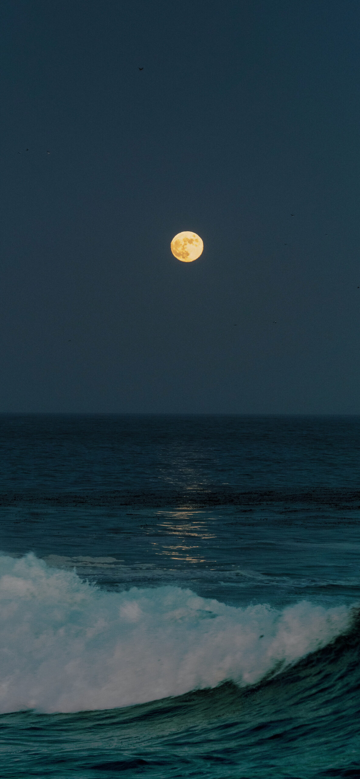 Sea at night Wallpaper for iPhone 11