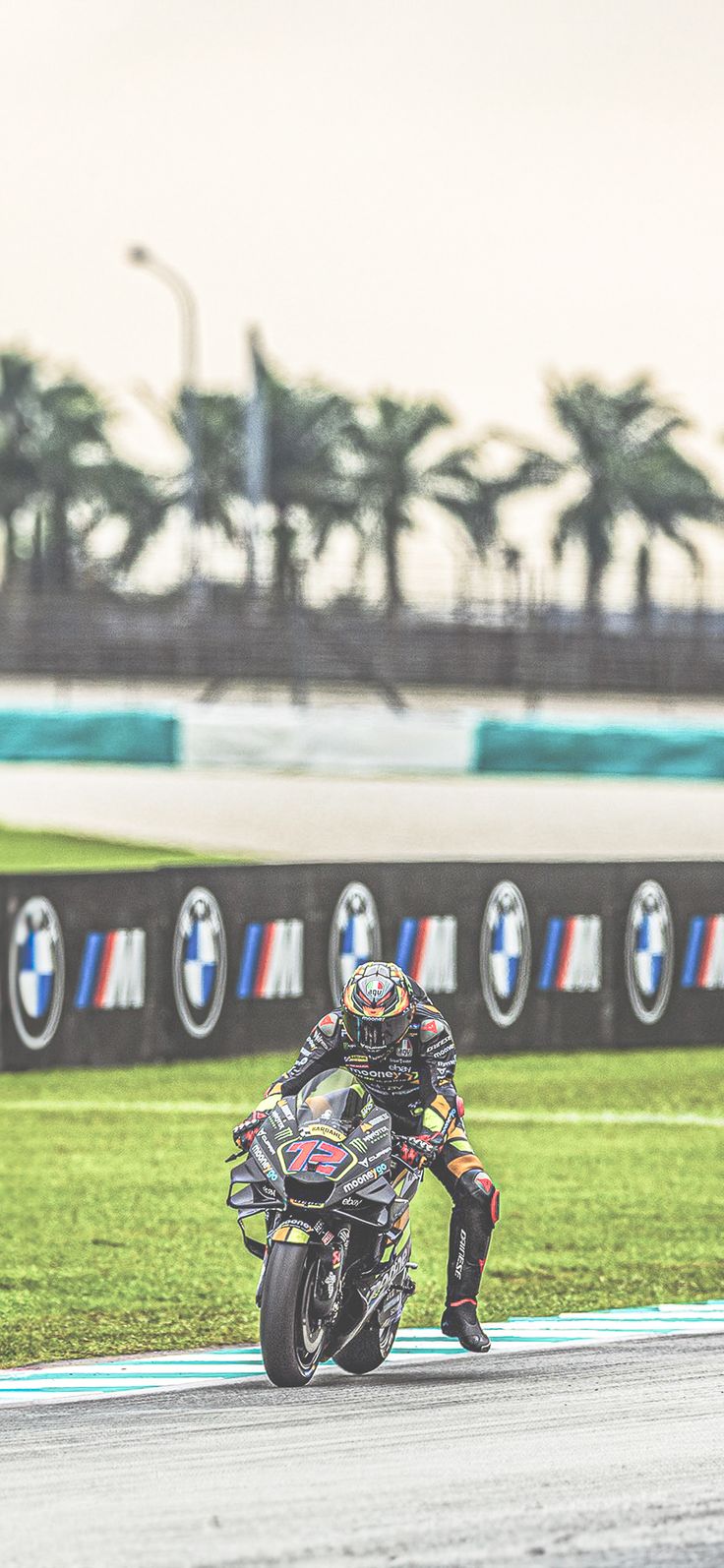 Marco Bezzecchi MotoGP Phone Wallpaper