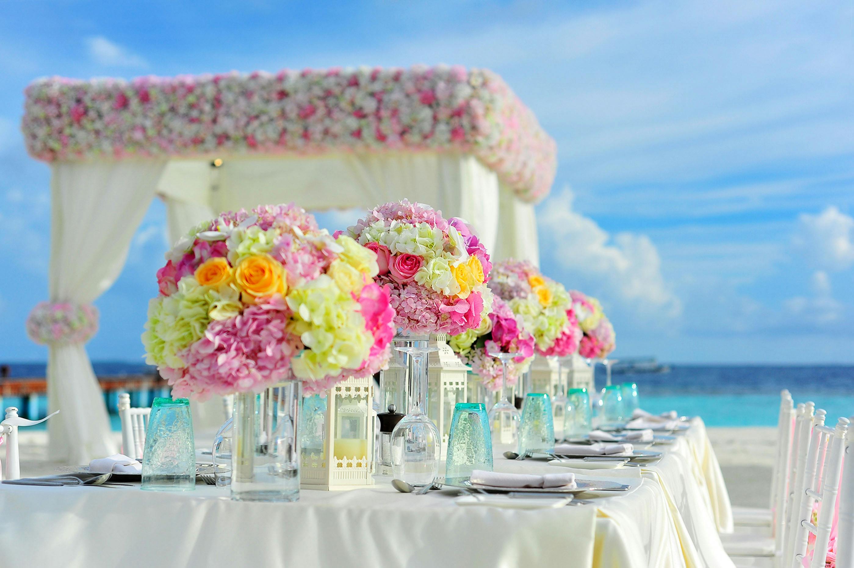 Beach Wedding Photo, Download The BEST
