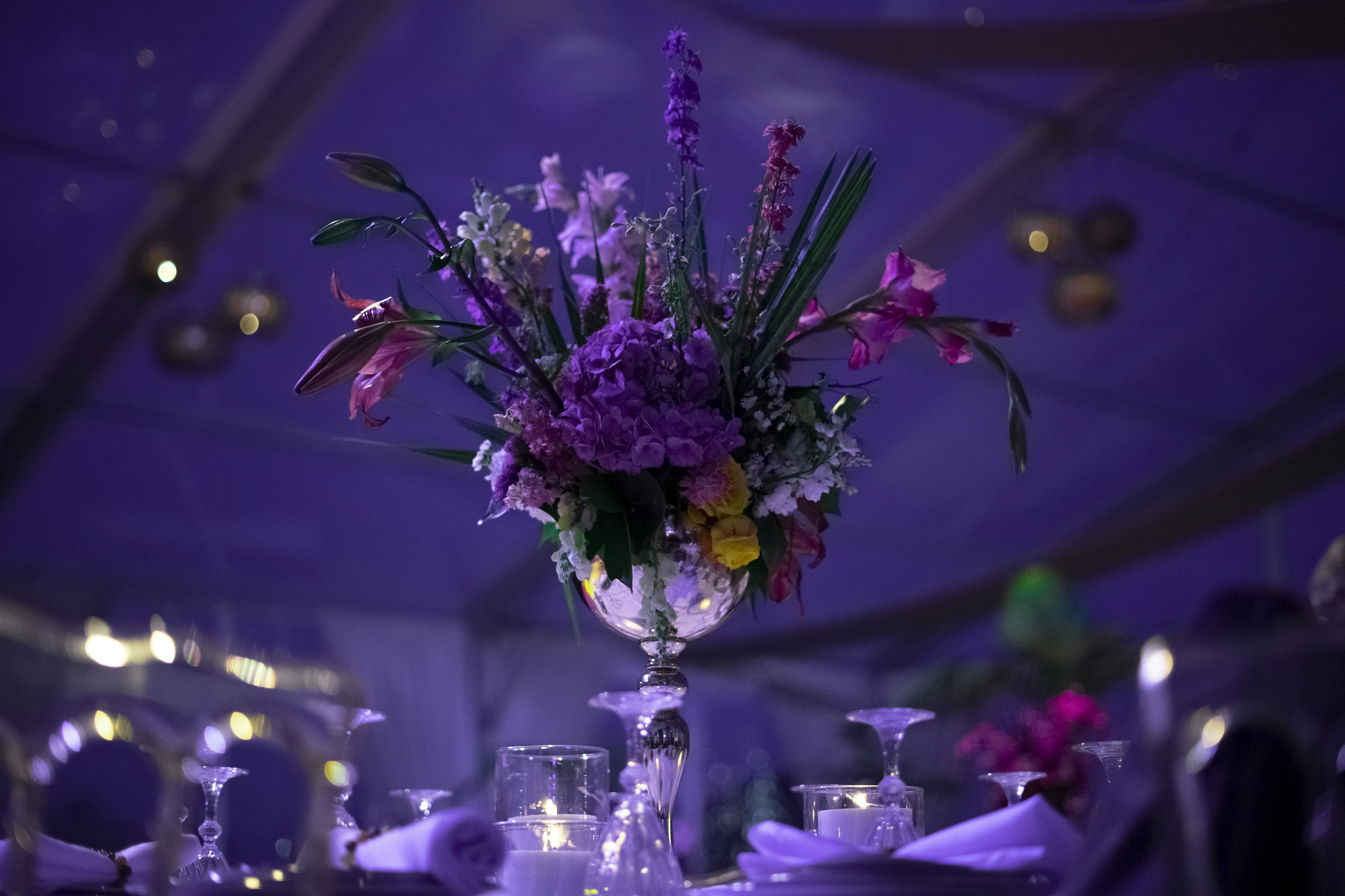 Event Planning Picture HD