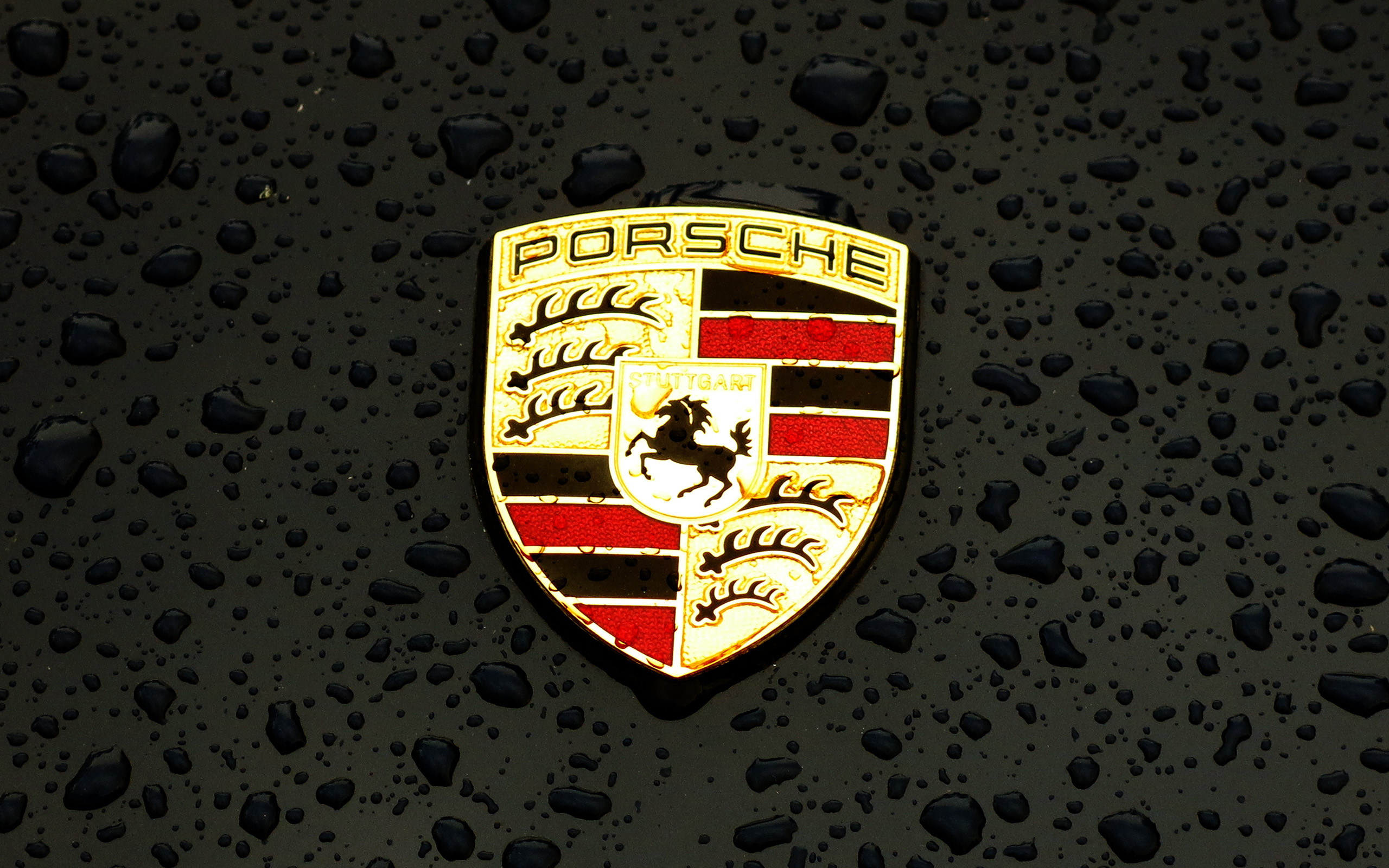 Porsche Logo Emblem Car