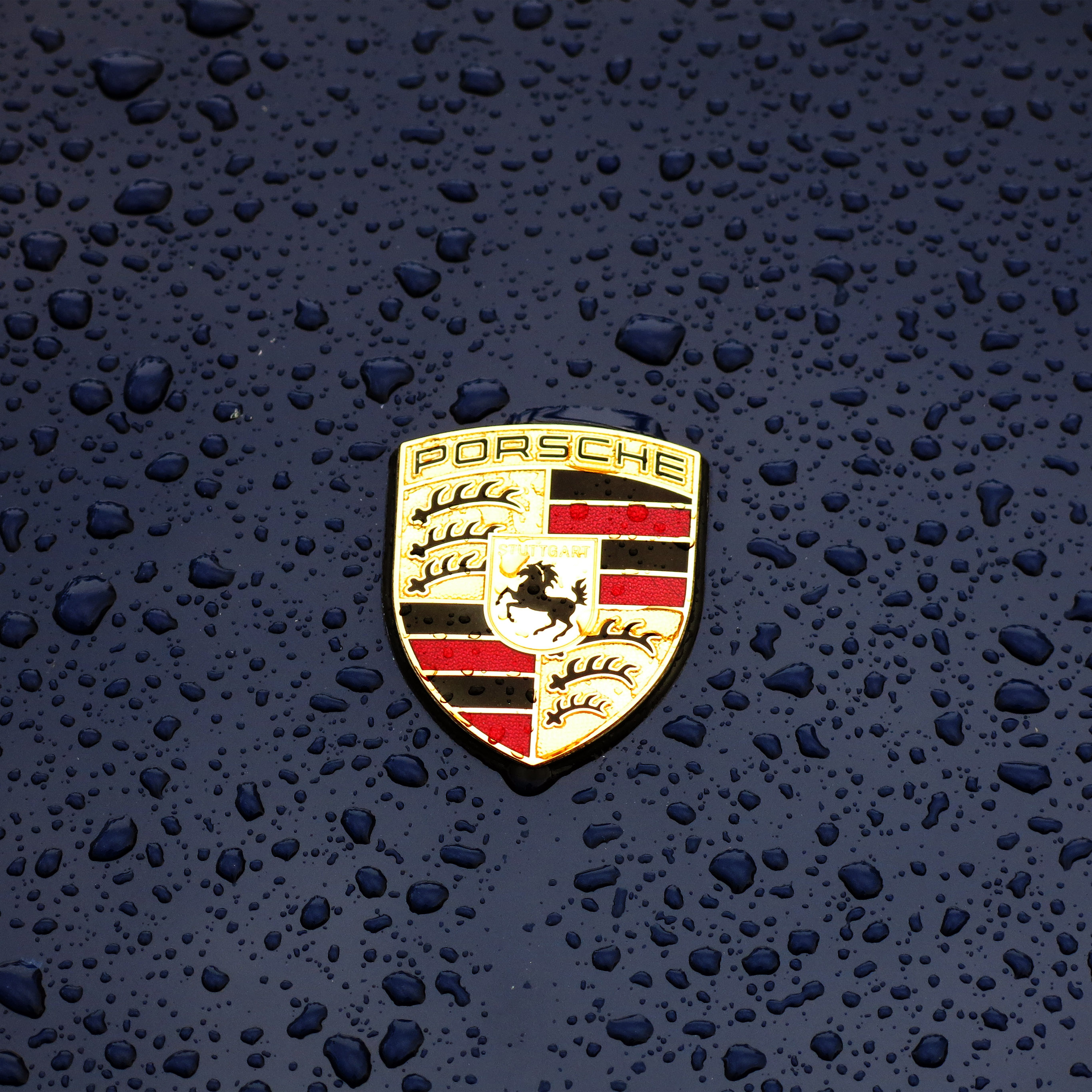 Porsche Logo Emblem Car