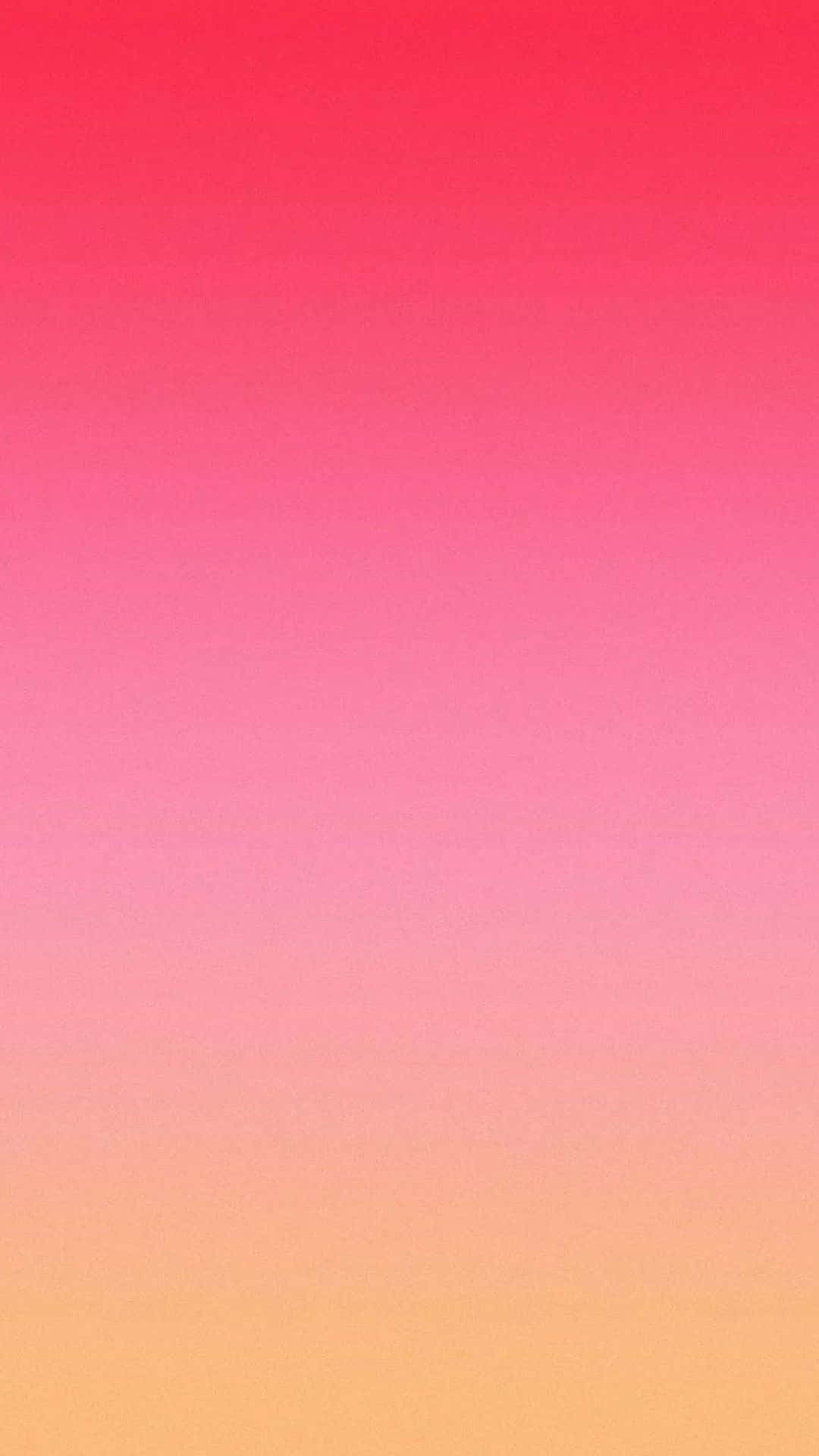 Download Bold Color Combination