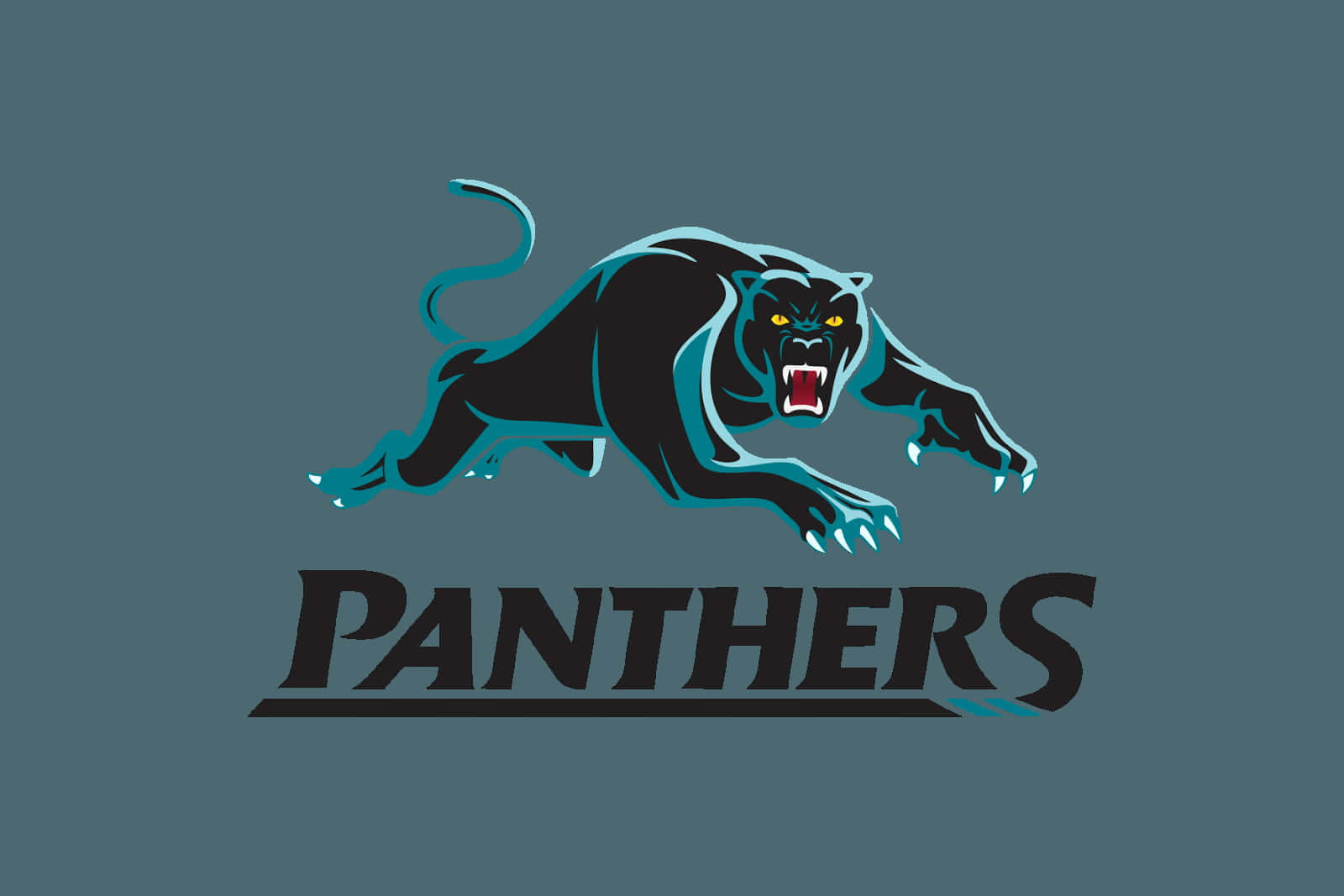 Download Penrith Panthers Wallpaper